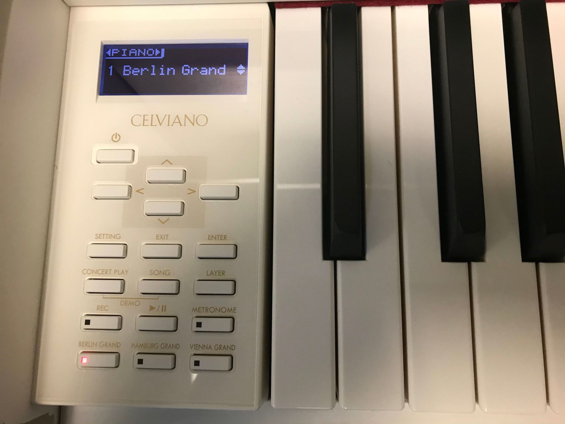 11699 - New German C. Bechstein Hybrid/Digital Piano Model GP-310