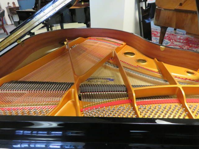 11621- New Hallet Davis Signature Series