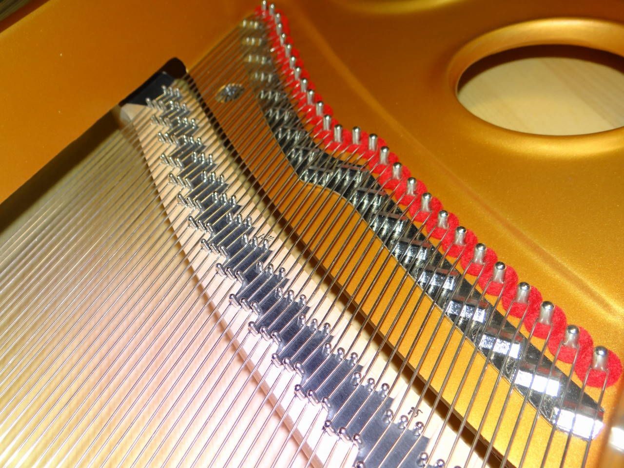 11645_New Hallet Davis_Signature Series_57_Premium