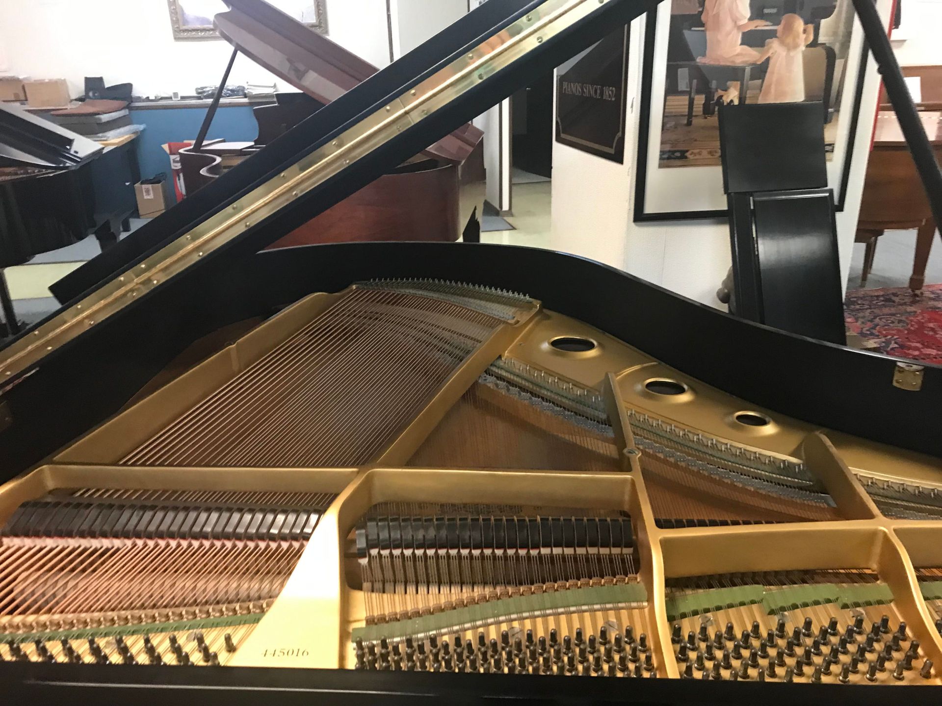 11642_Story and Clark_Grand_Made by Yamaha