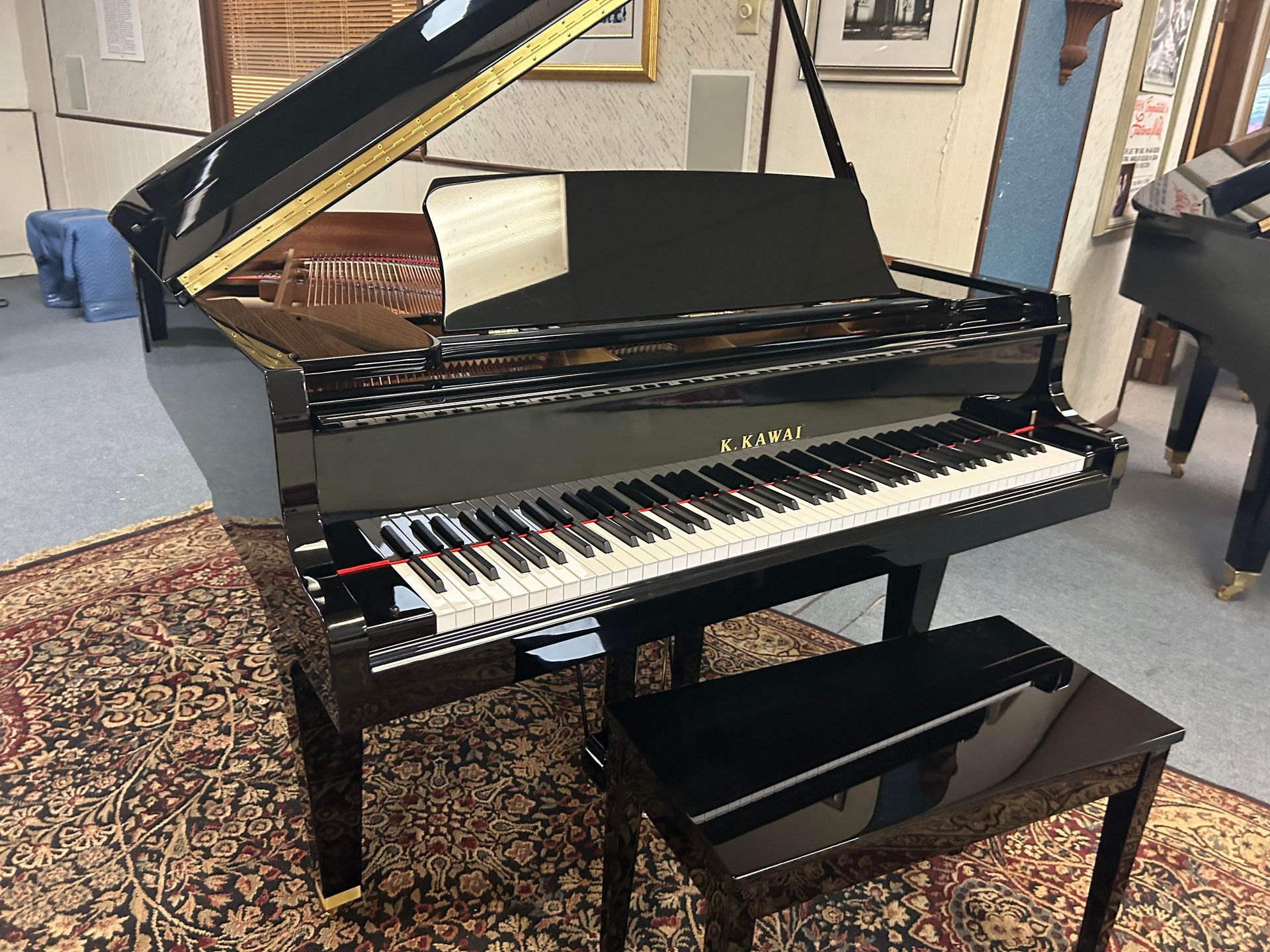 Black grand piano with bench on patterned rug.