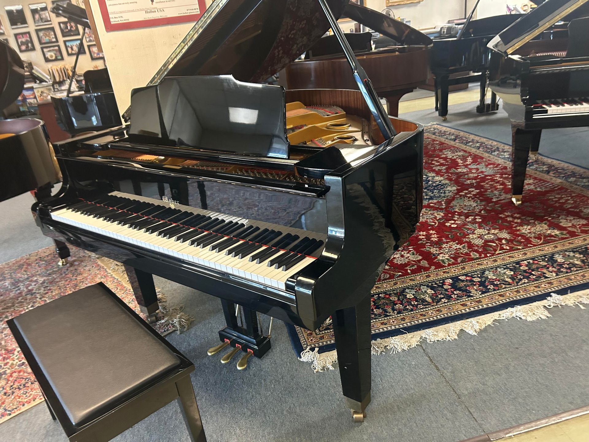 Black grand piano in a showroom, with bench and other pianos in the background on patterned rugs.