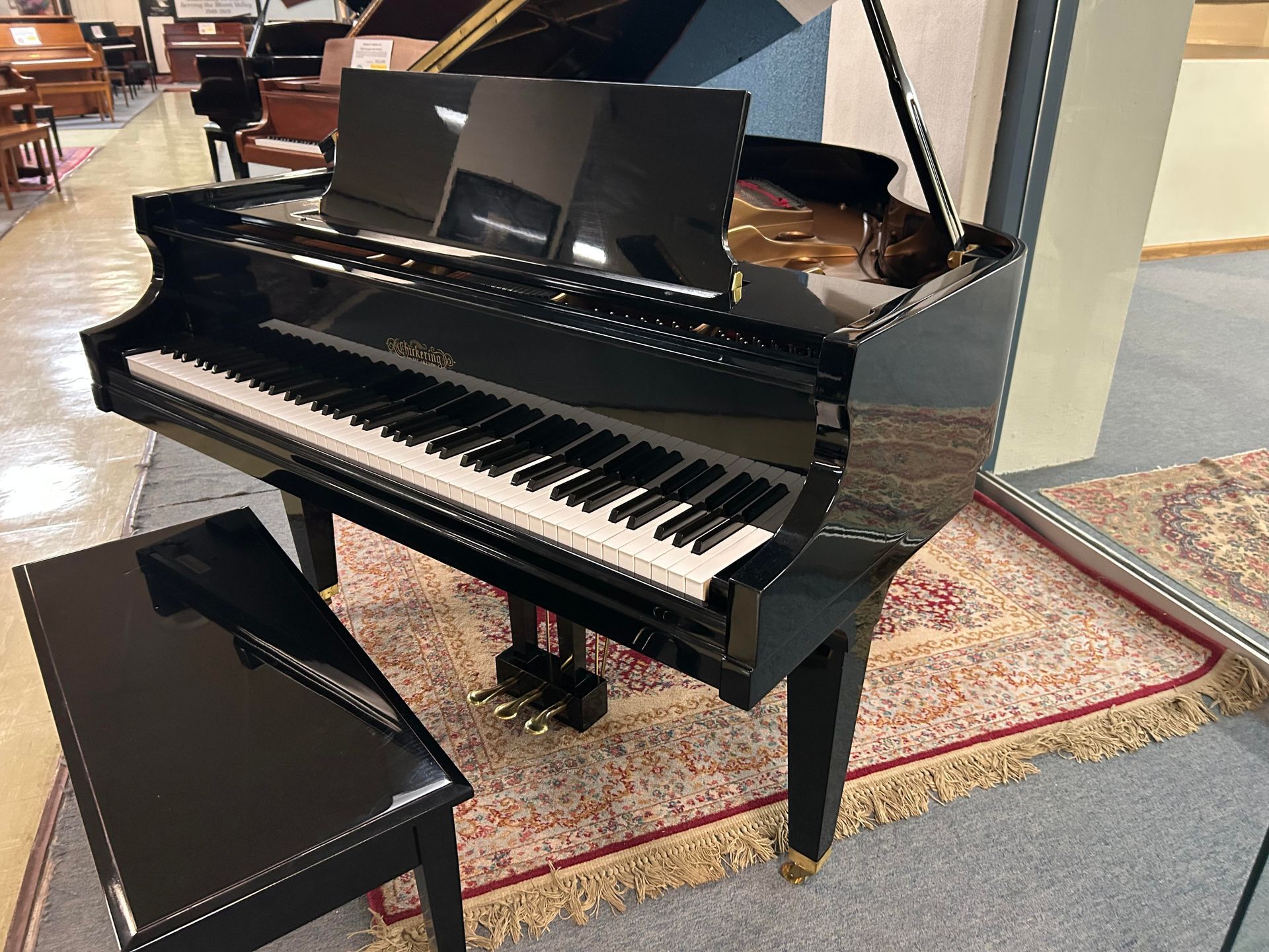 A black grand piano with a matching bench in a showroom setting.