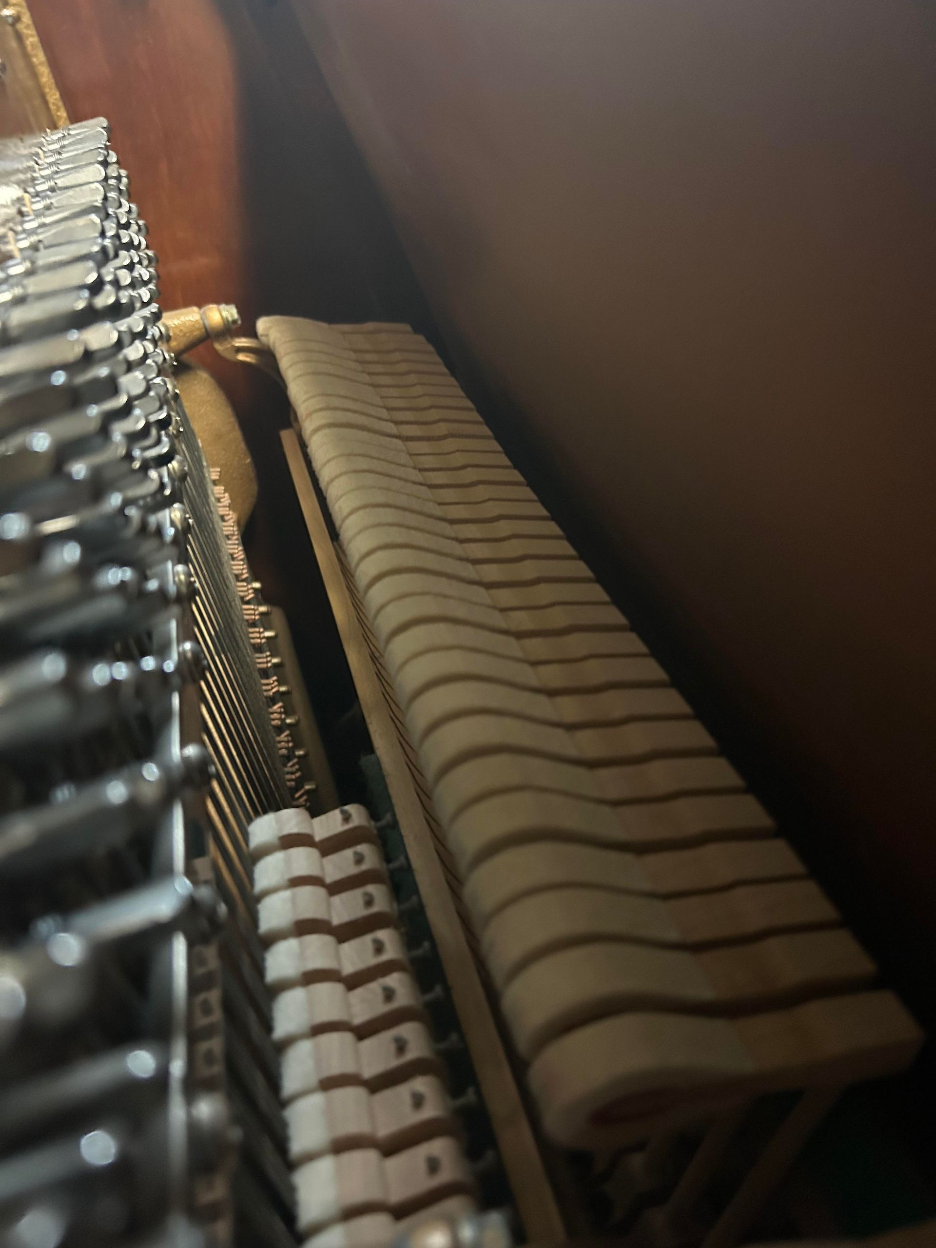 A close up of the inside of a piano showing the keys