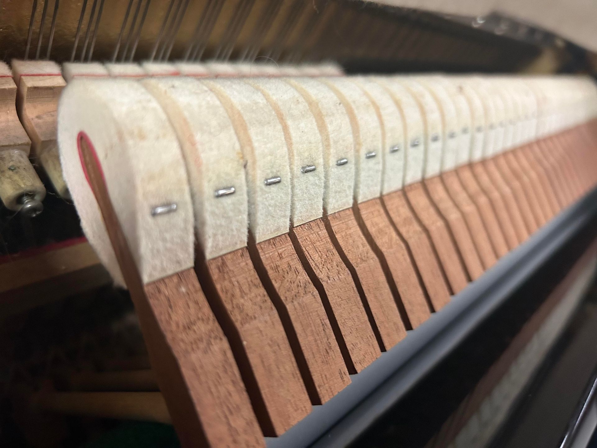 A close up of a piano 's hammers and keys