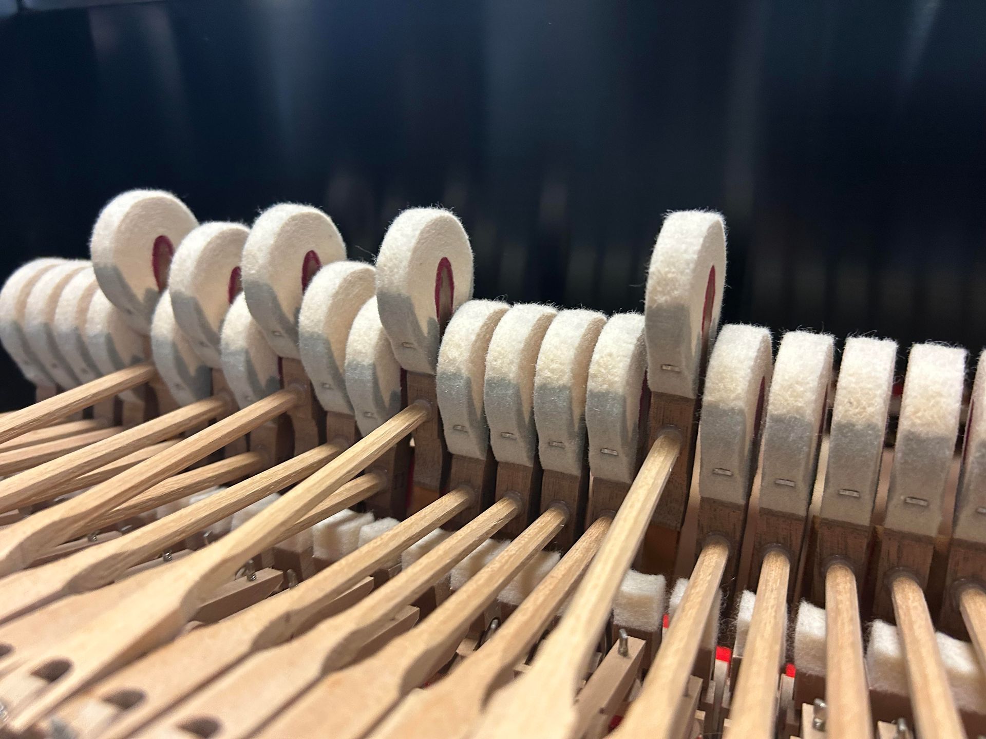Piano hammers: wooden levers with felt heads, arrayed in a piano's action.