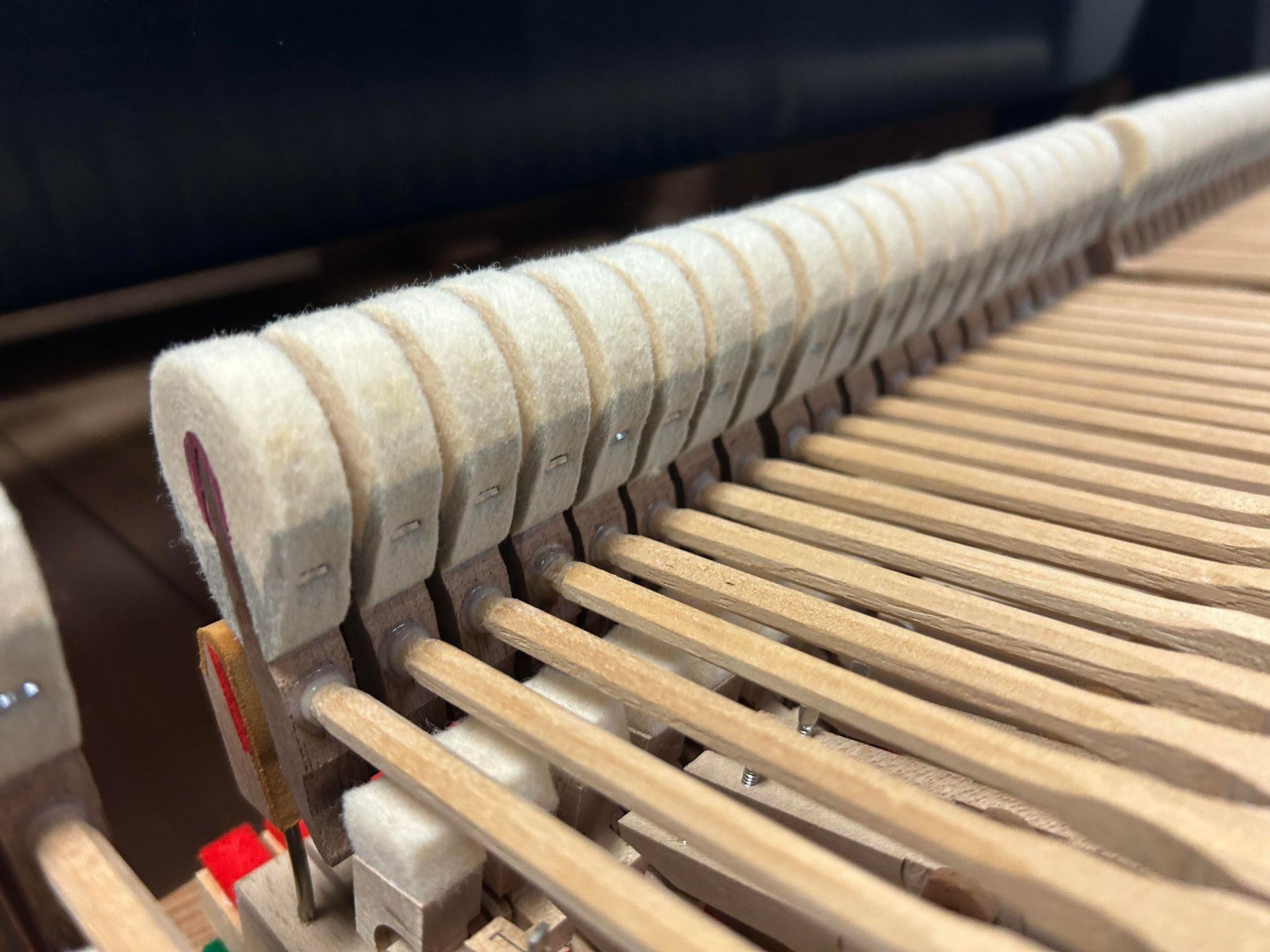 Close-up of piano hammers, beige felt heads, striking wooden keys.