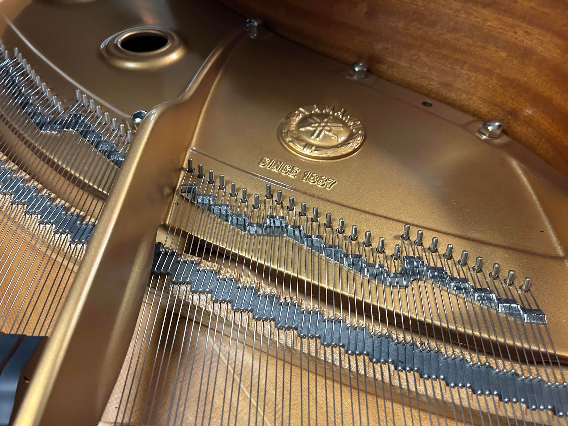 Inside of a grand piano. Gold-colored cast iron plate with strings and a maker's mark.