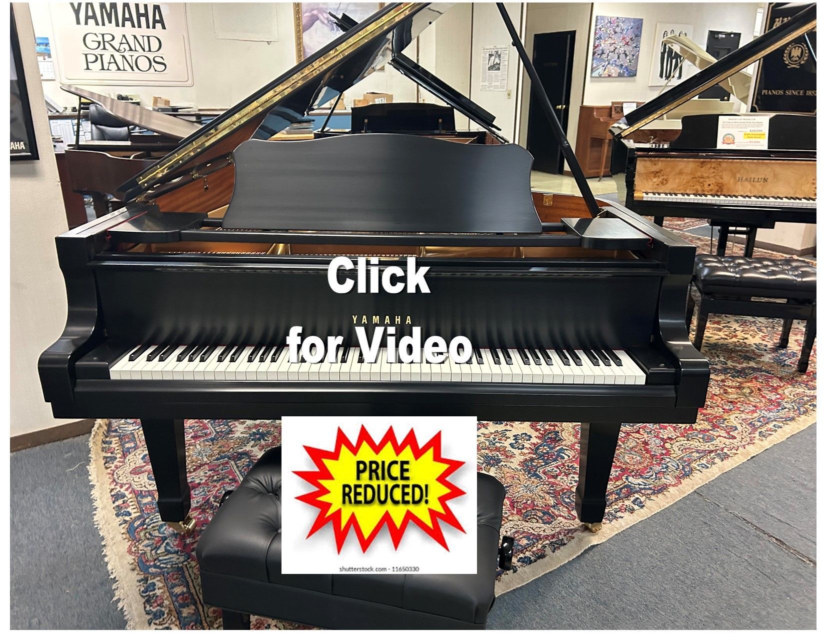 Black Yamaha grand piano with bench. Shop interior with piano and other pianos.