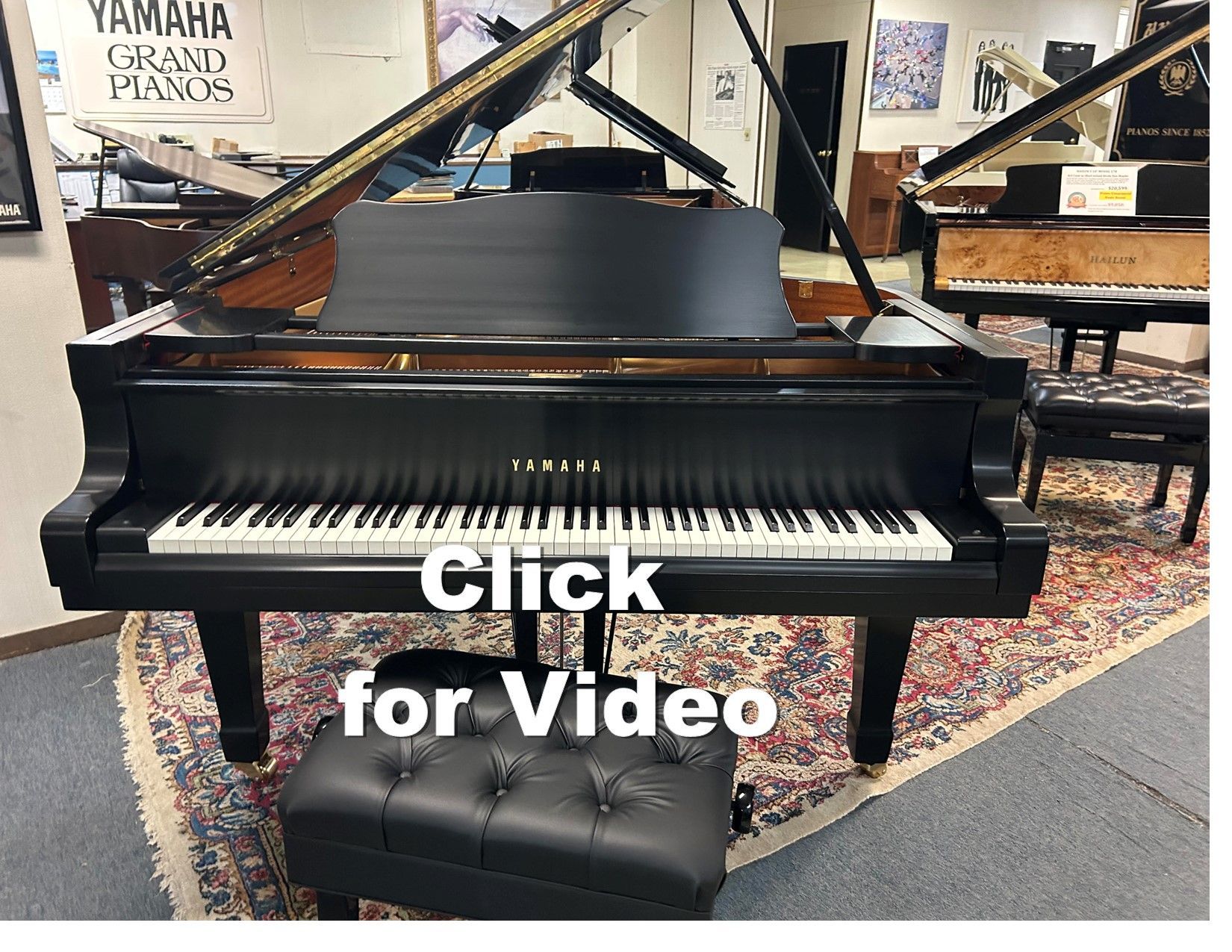 Black Yamaha grand piano with bench. Shop interior with piano and other pianos.