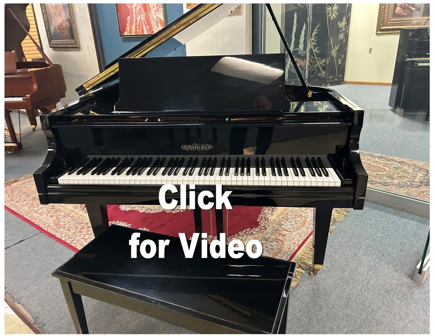 Black grand piano in a showroom with a bench; 