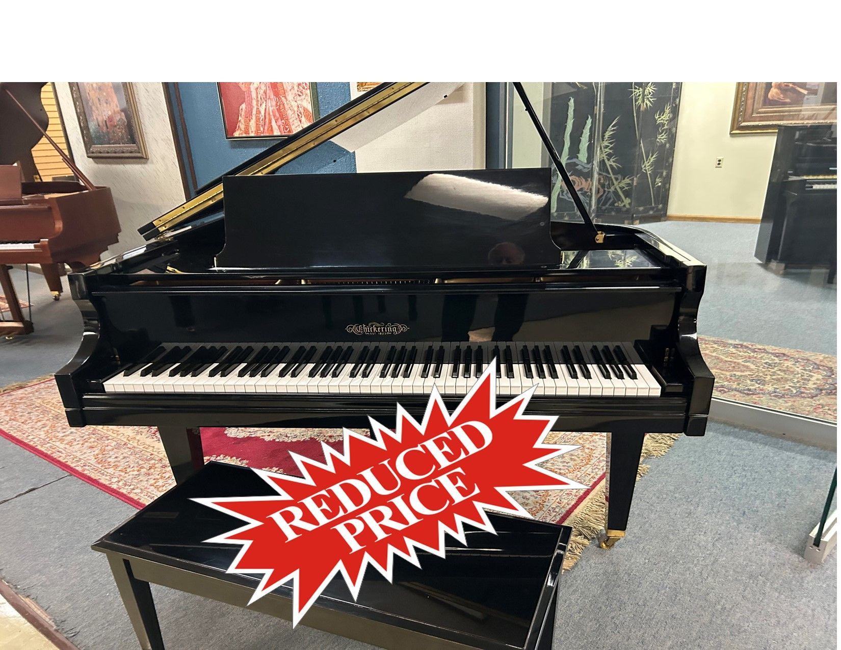 Black grand piano in a showroom with a bench;