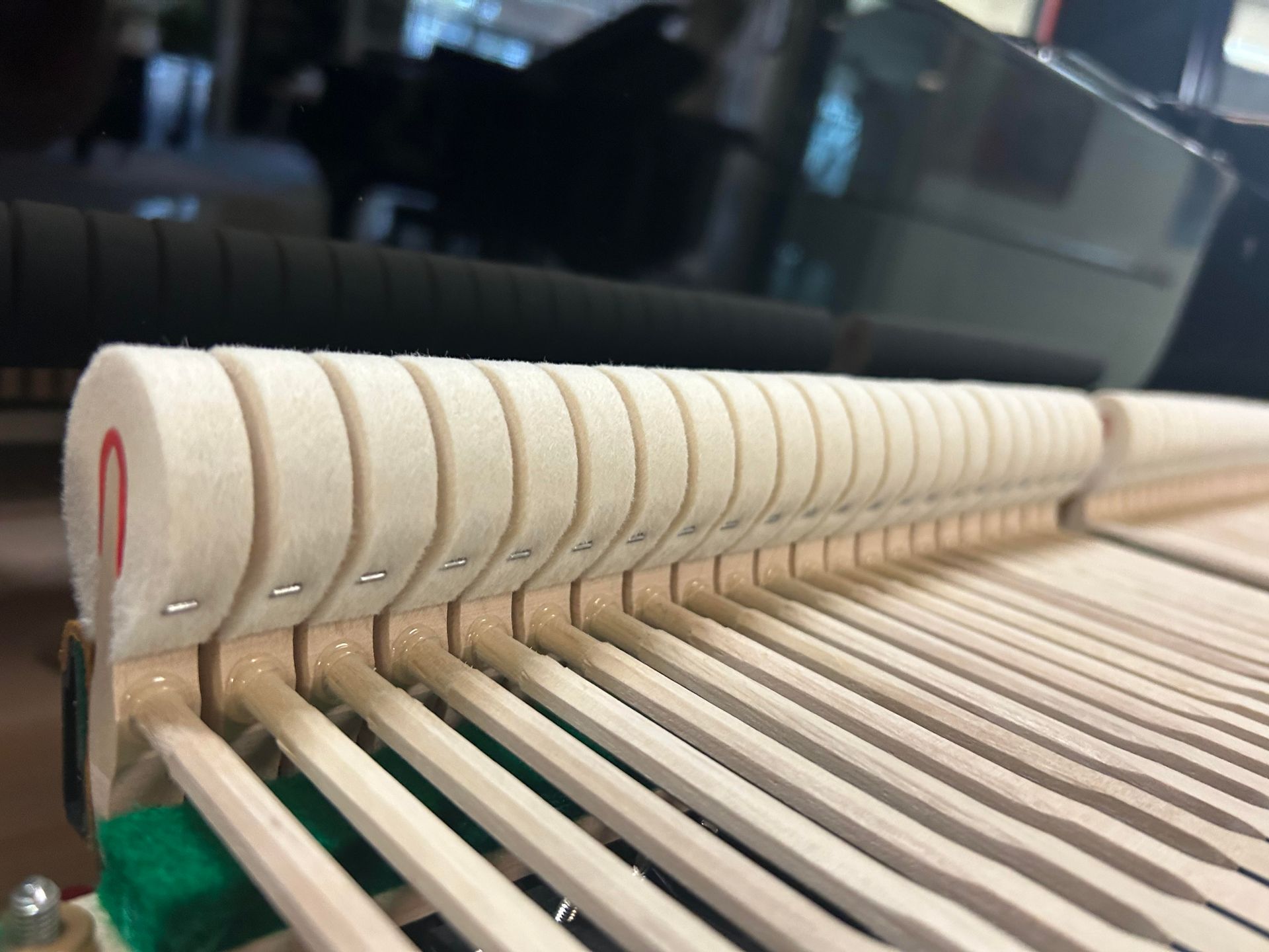 Close-up of piano hammers, showing felt heads and wooden shanks.