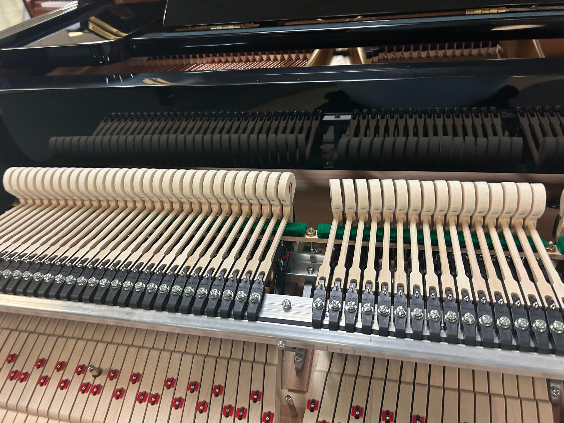 Inside of a piano, showing the hammers and strings.
