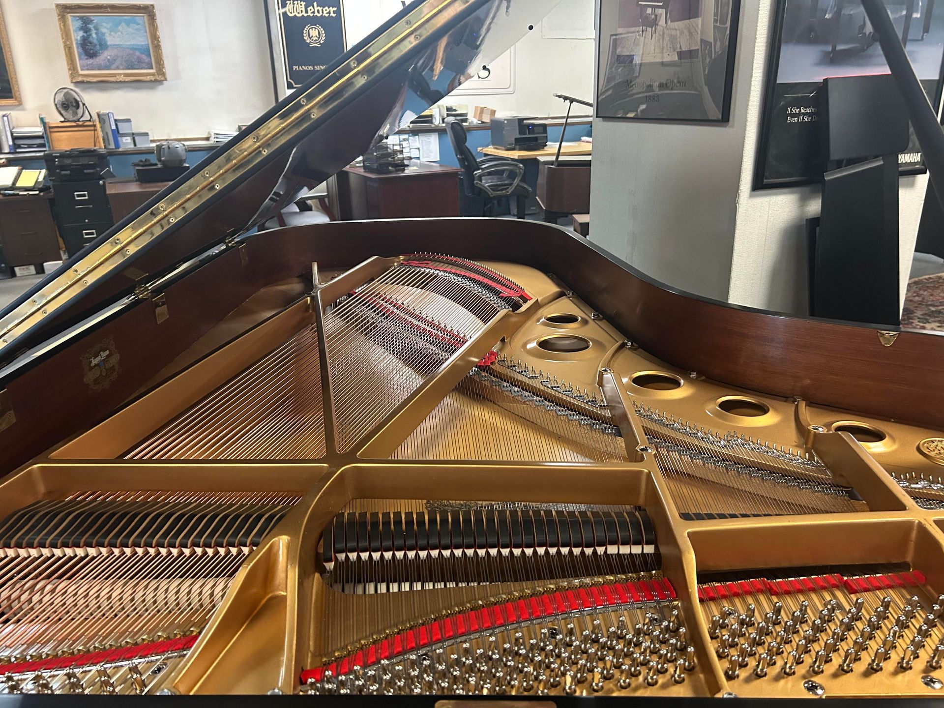 Grand piano's interior: strings, hammers, and soundboard exposed, in a workshop setting.