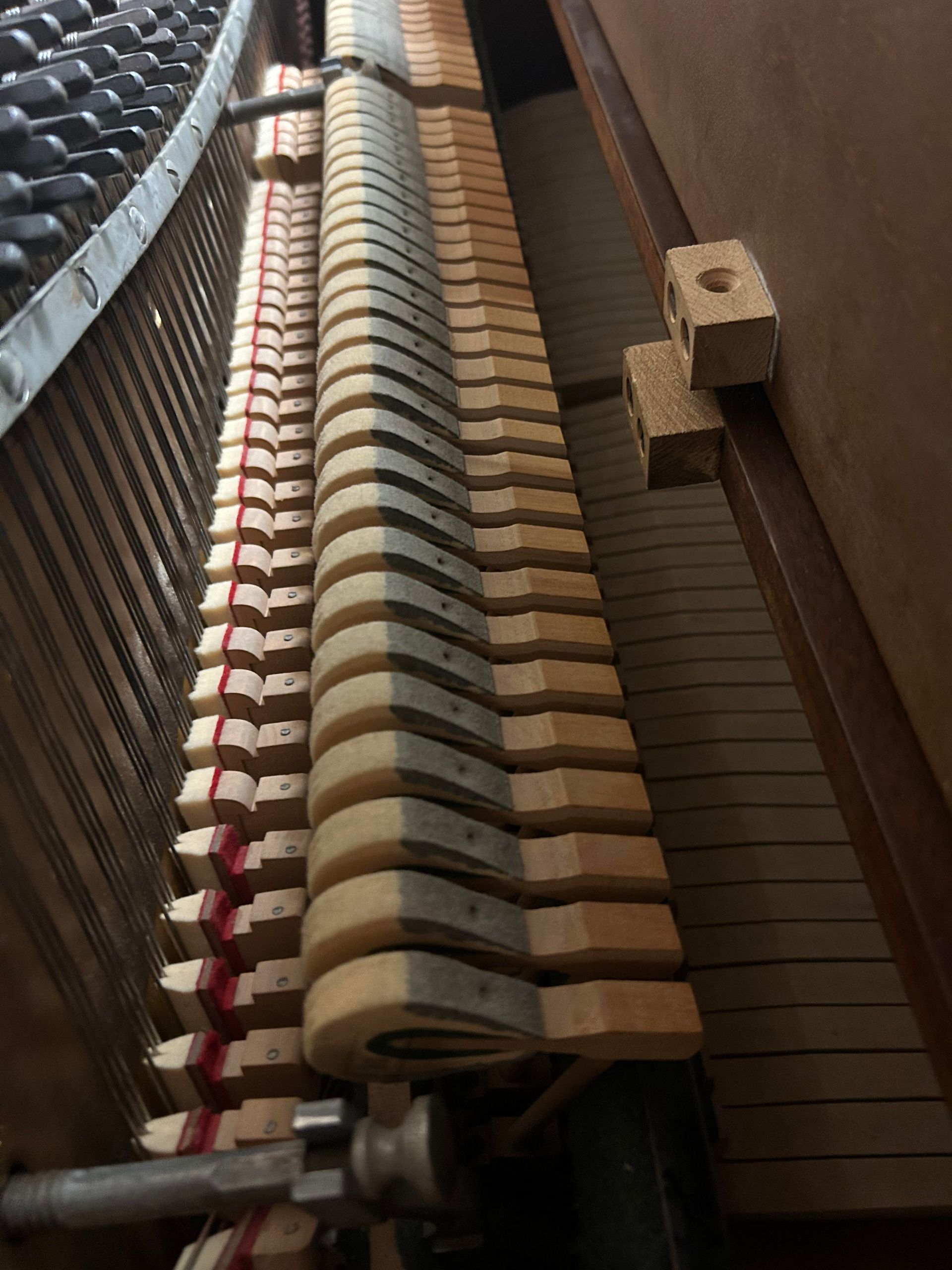 A close up of the inside of a piano showing the keys.