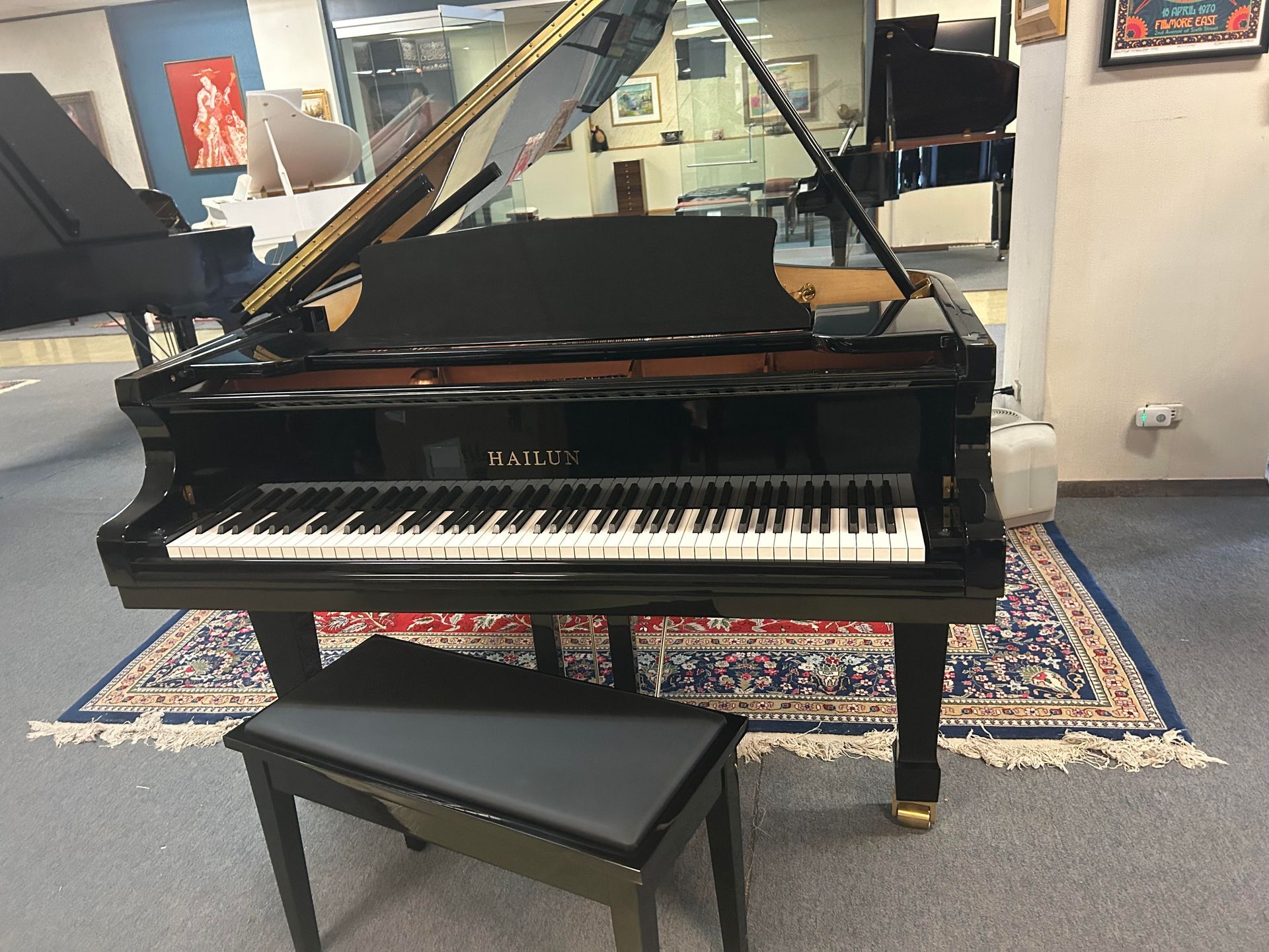 A grand piano is sitting on a rug in a room