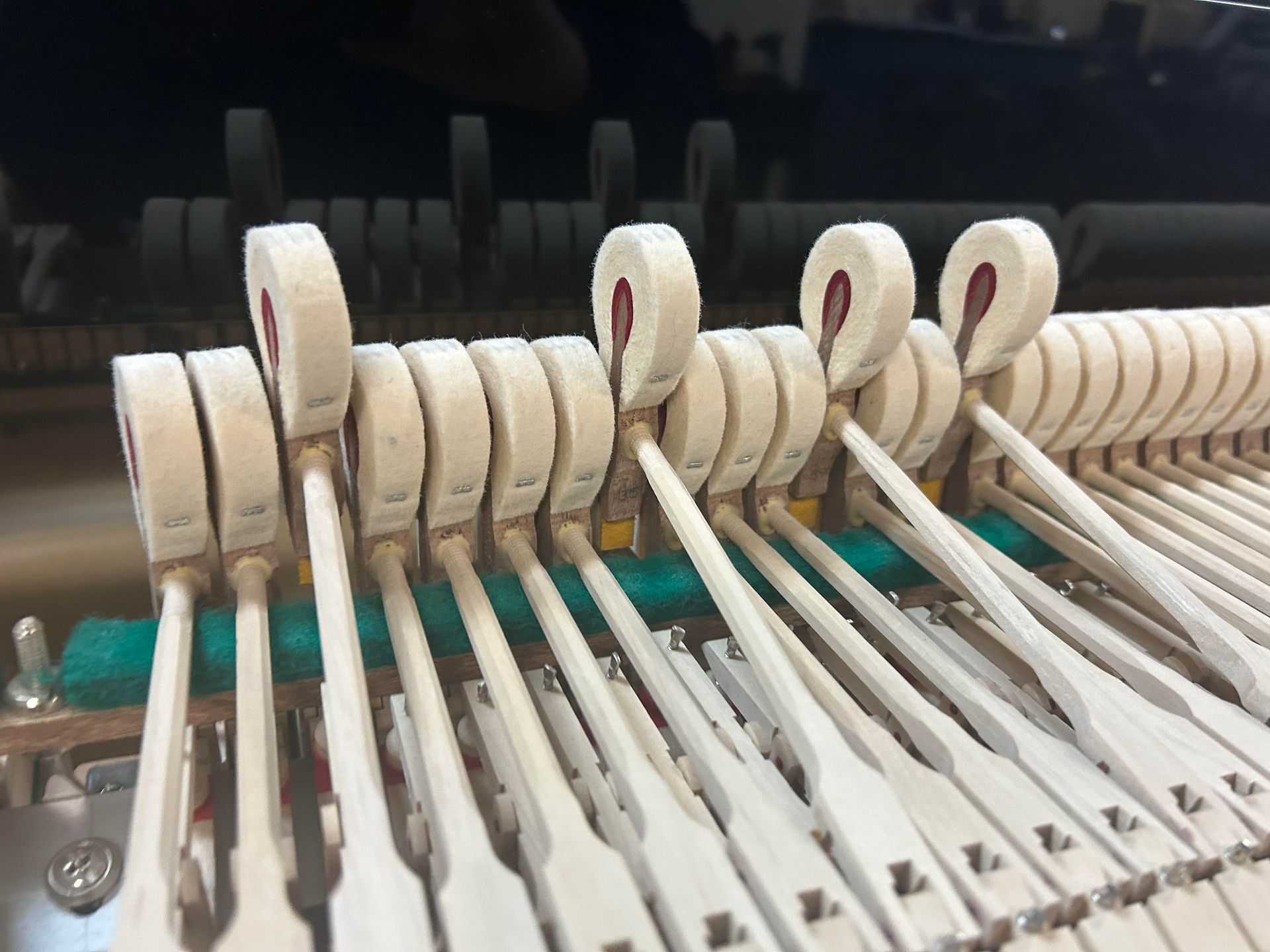 A close up of the inside of a piano showing the keys