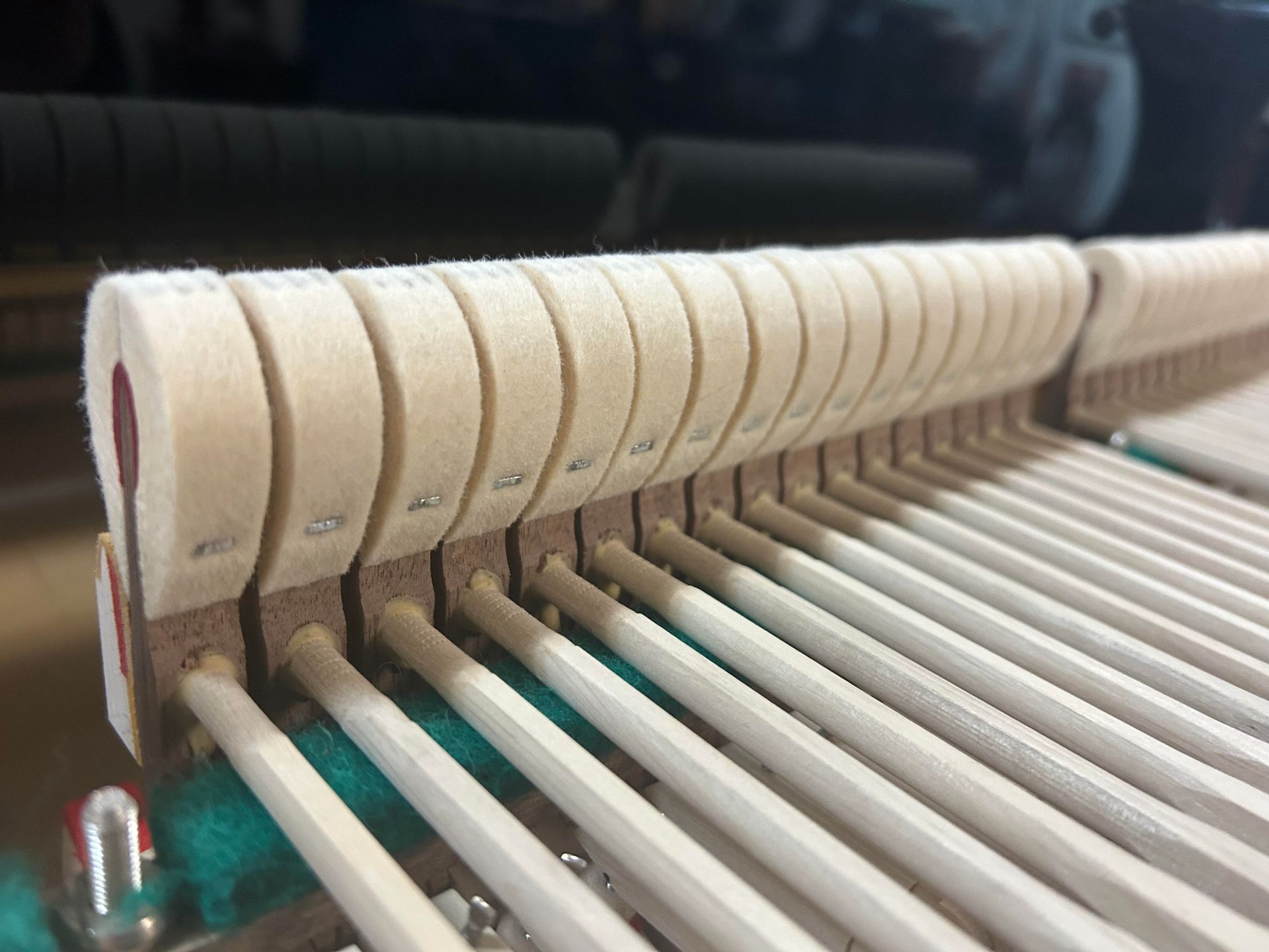 A close up of a piano 's hammers and strings
