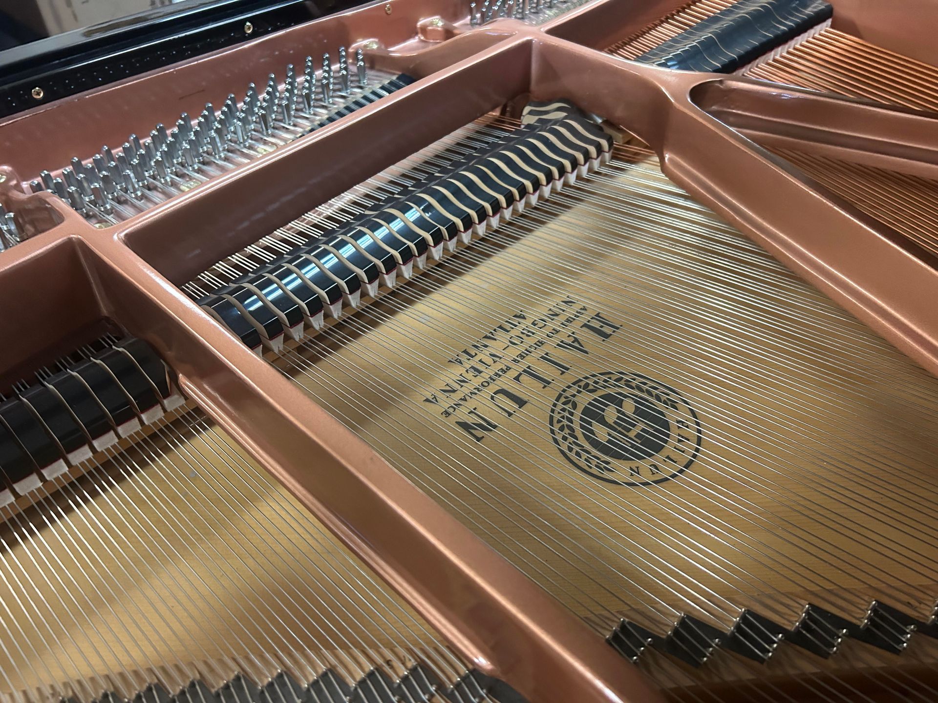 A close up of the inside of a grand piano