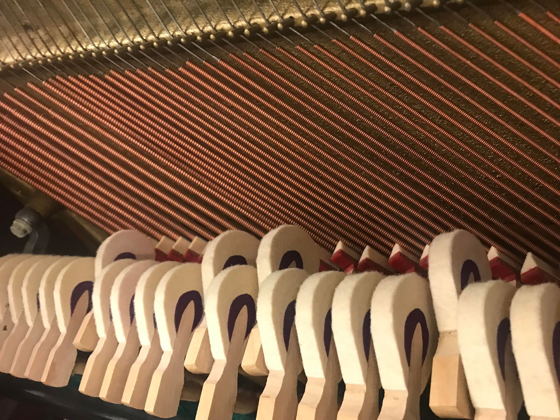A close up of the inside of a piano showing the keys