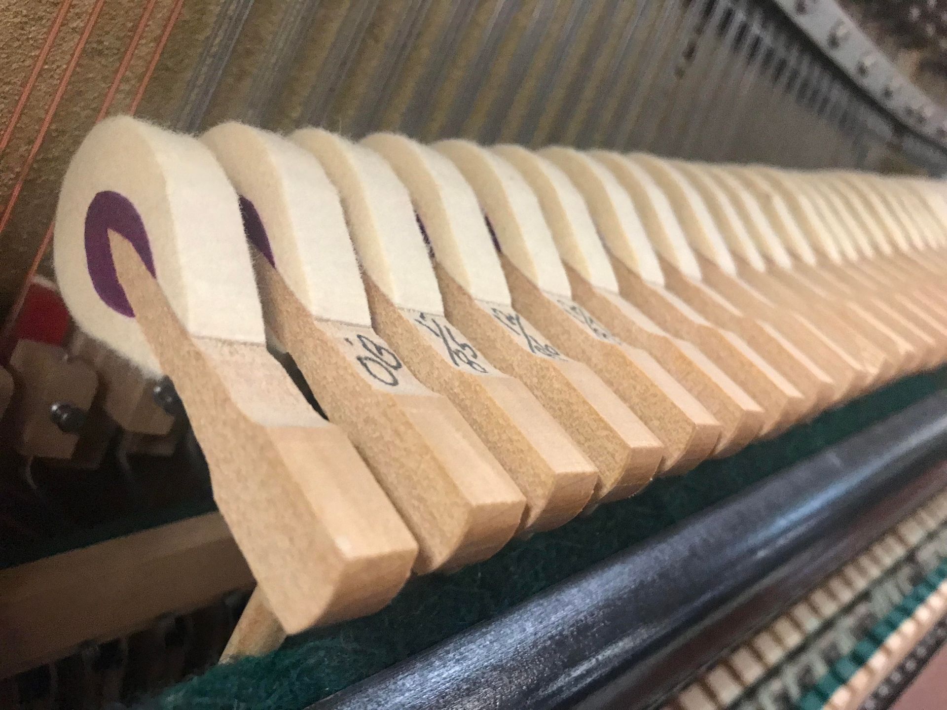 A close up of the inside of a piano showing the keys.