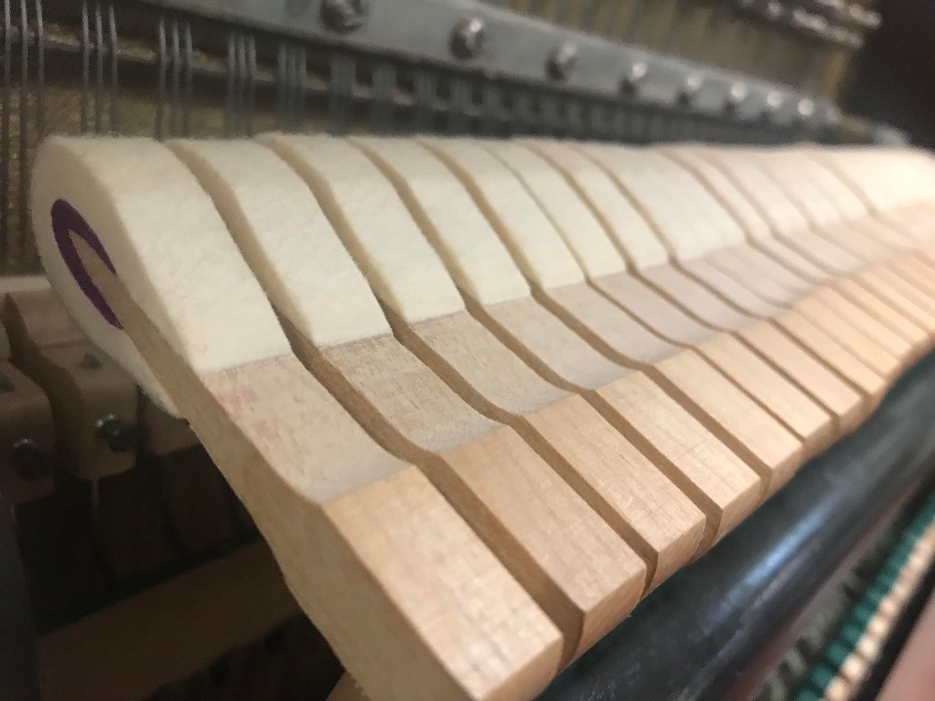 A close up of a piano keyboard with a purple letter c on it