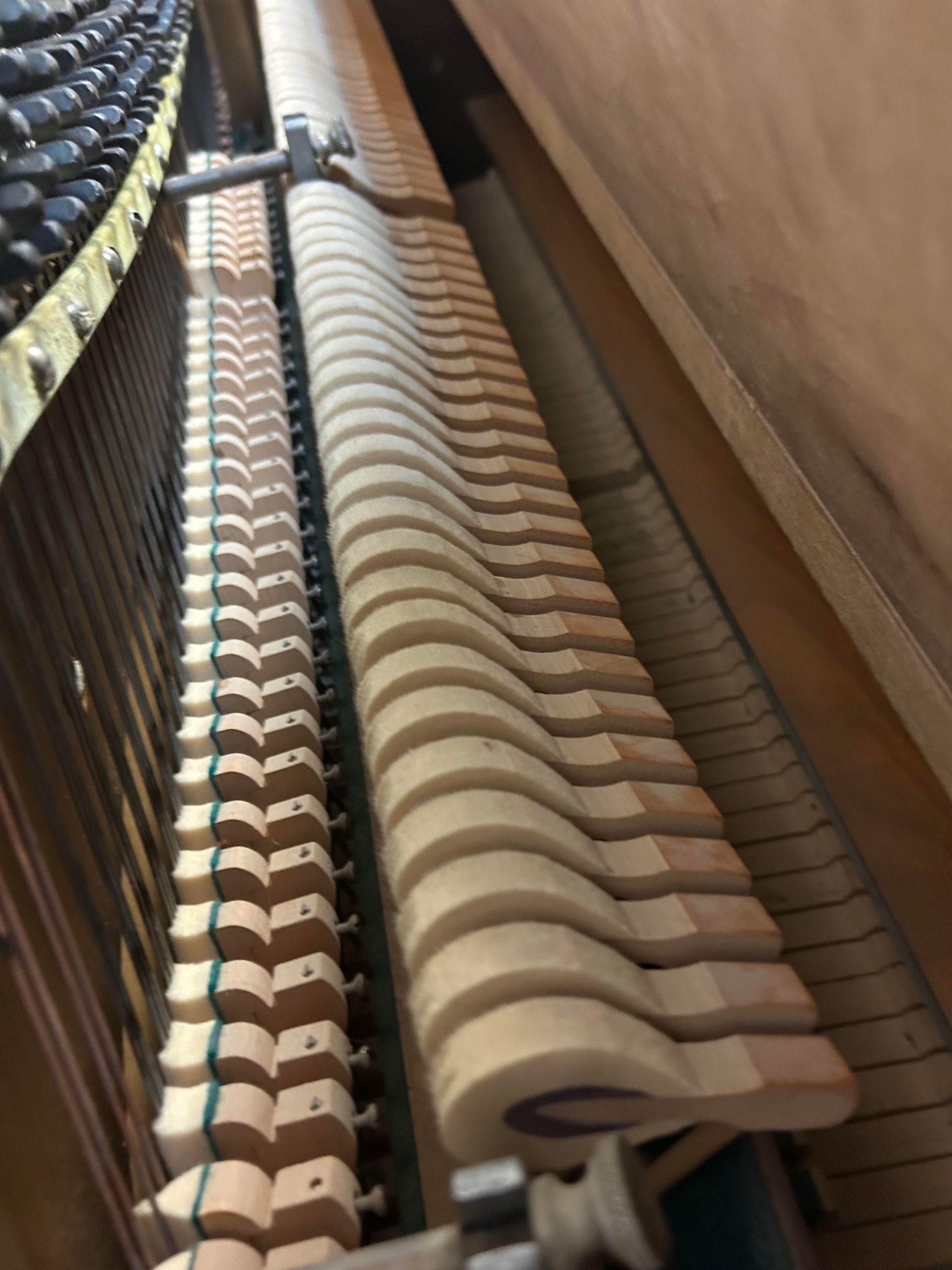 A close up of the inside of a piano showing the keys.