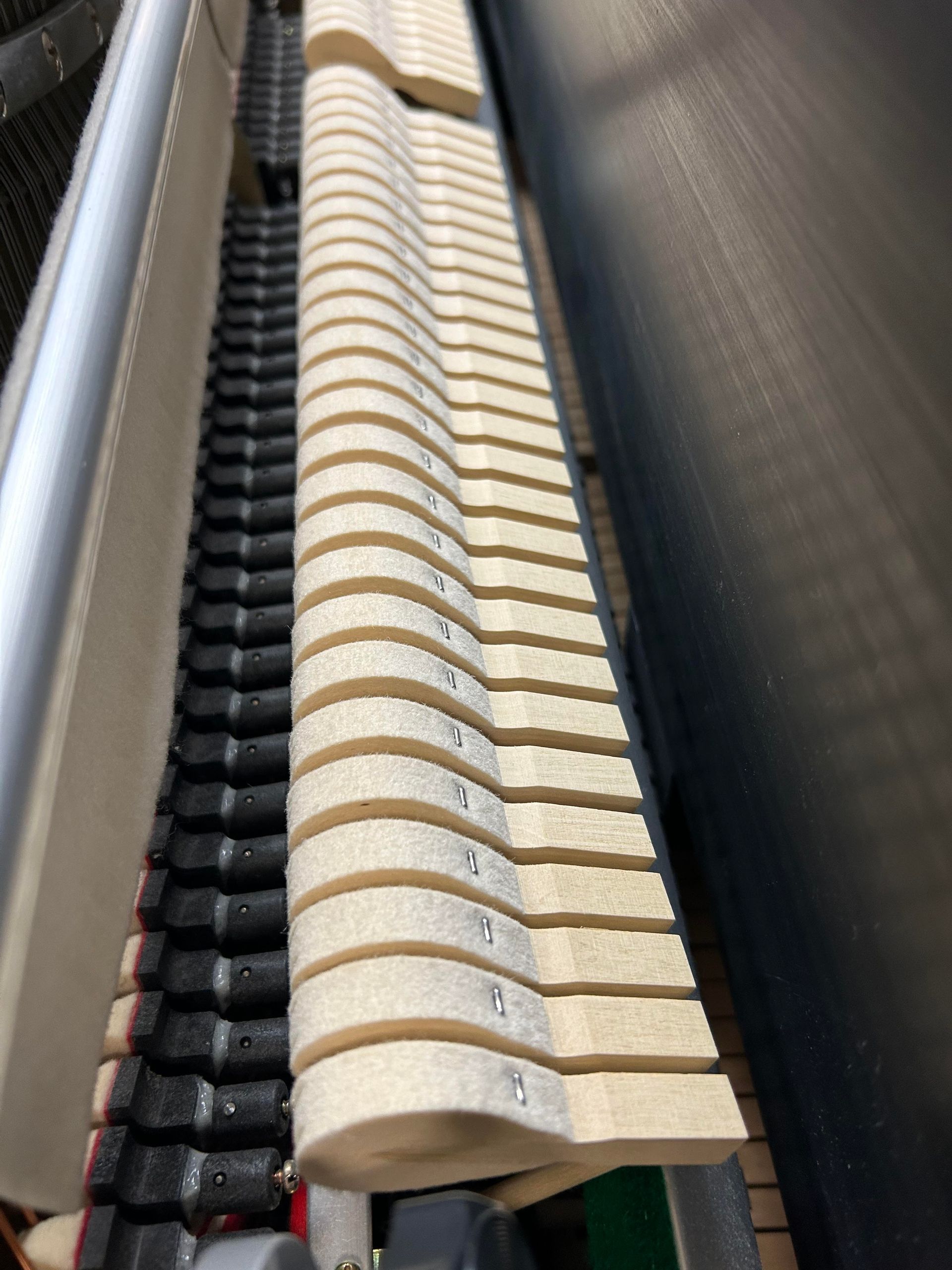 Inside of a piano showing rows of felt-covered hammers and black keys.