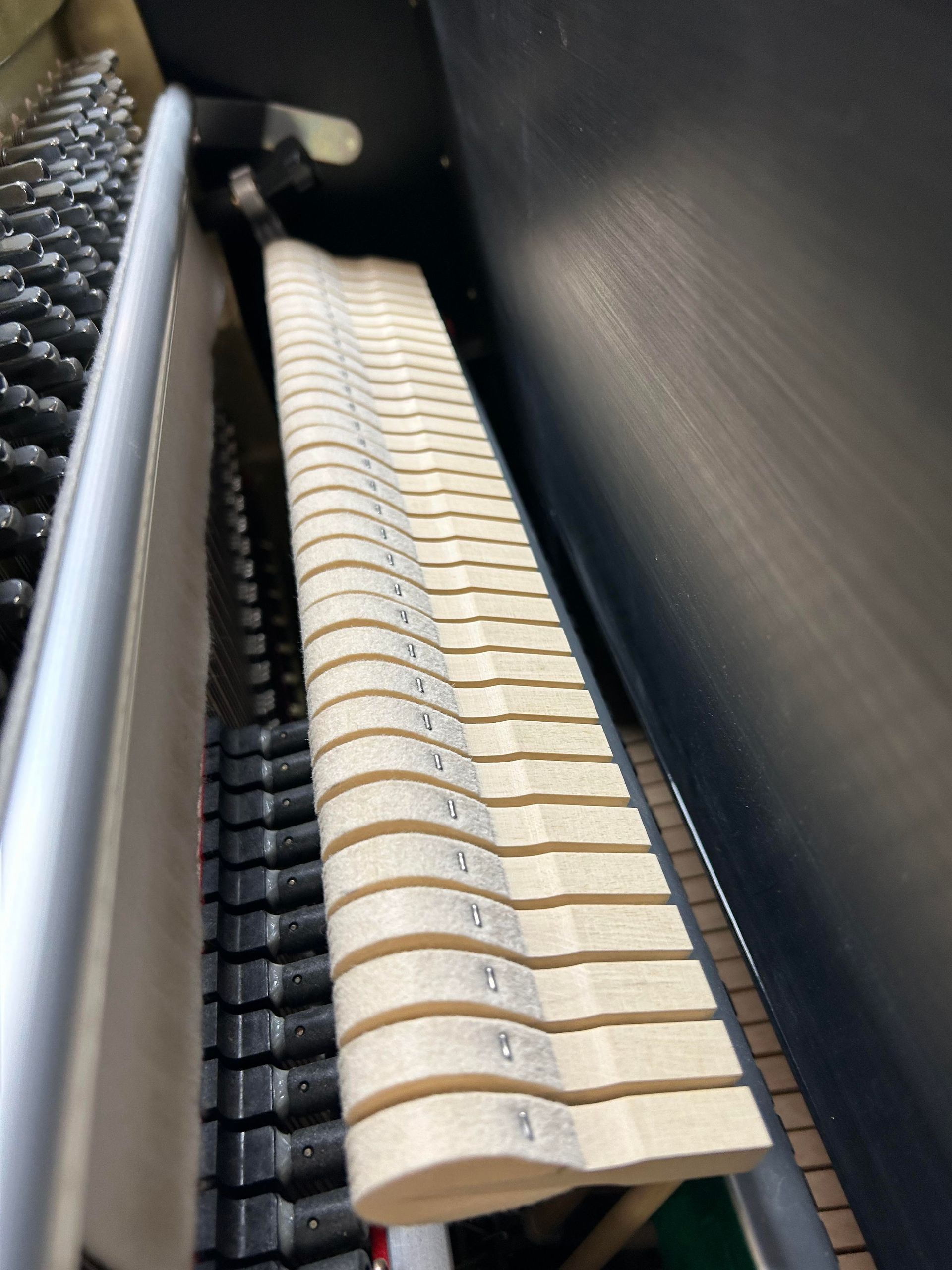 Inside of a piano, a long row of felt-covered wooden hammer heads.