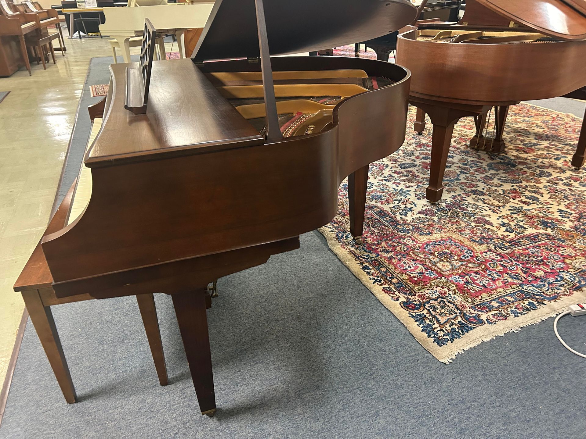 A grand piano is sitting on a rug in a room.
