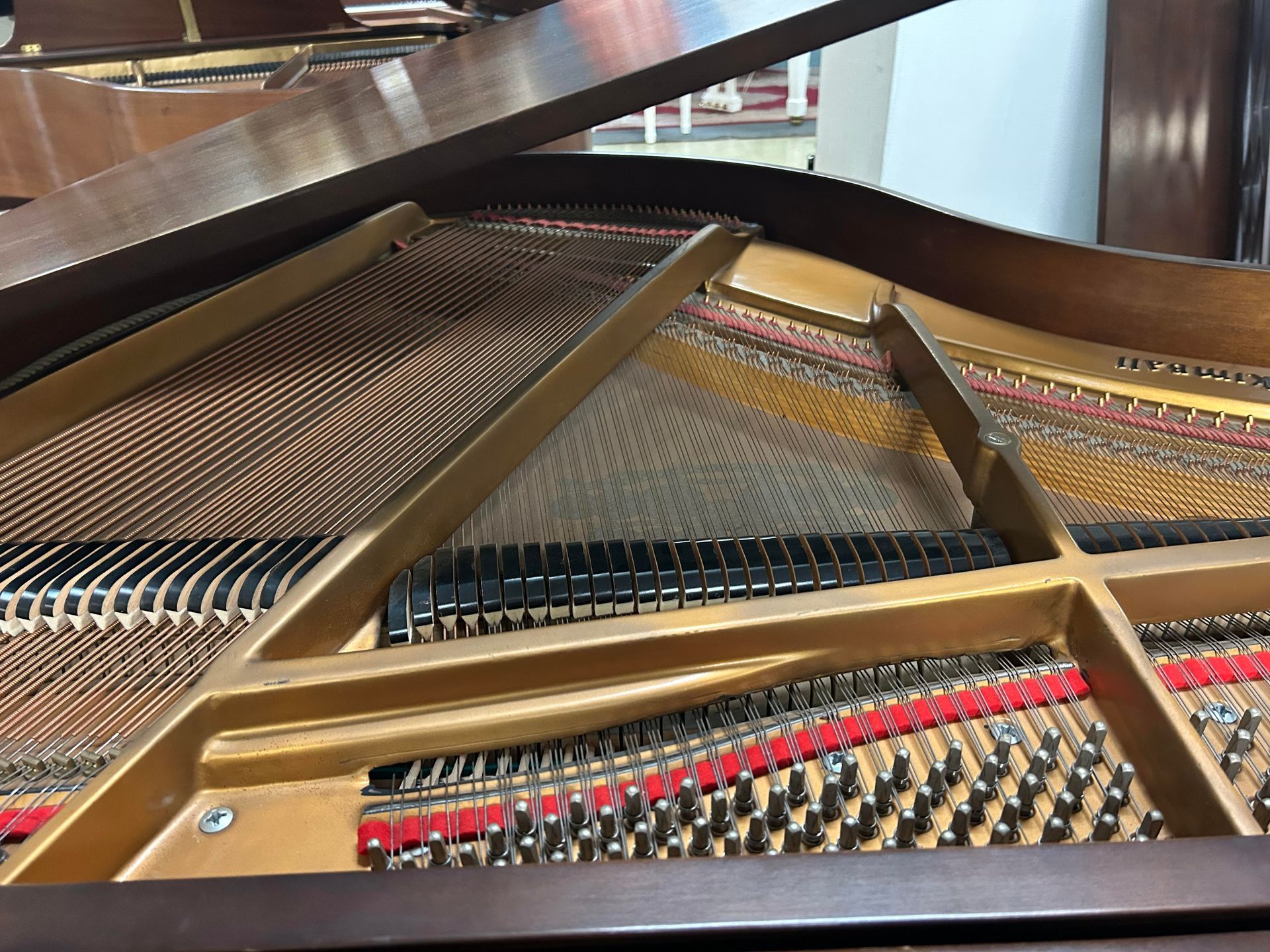 A close up of the inside of a grand piano