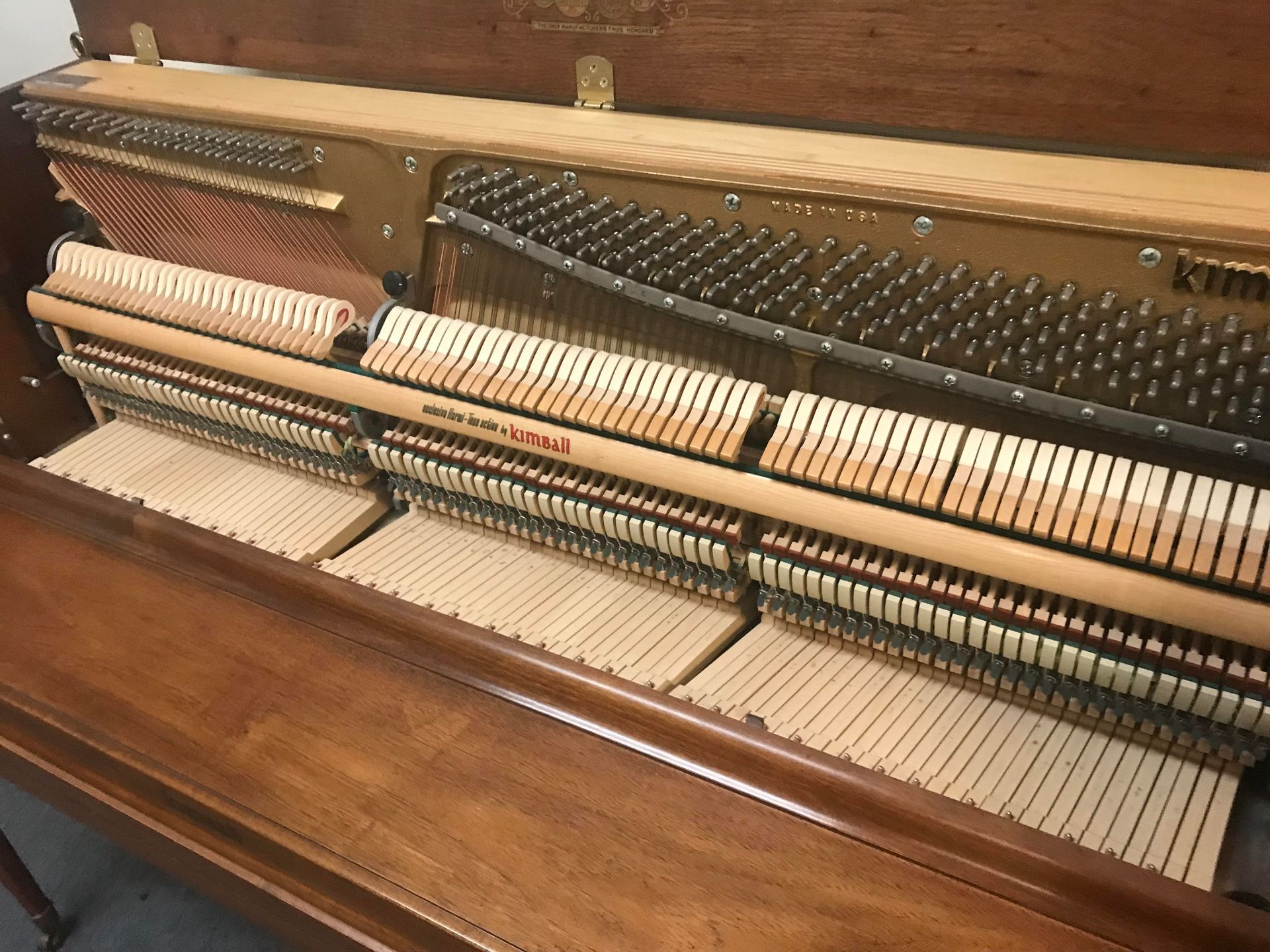 A close up of the inside of a piano showing the keys
