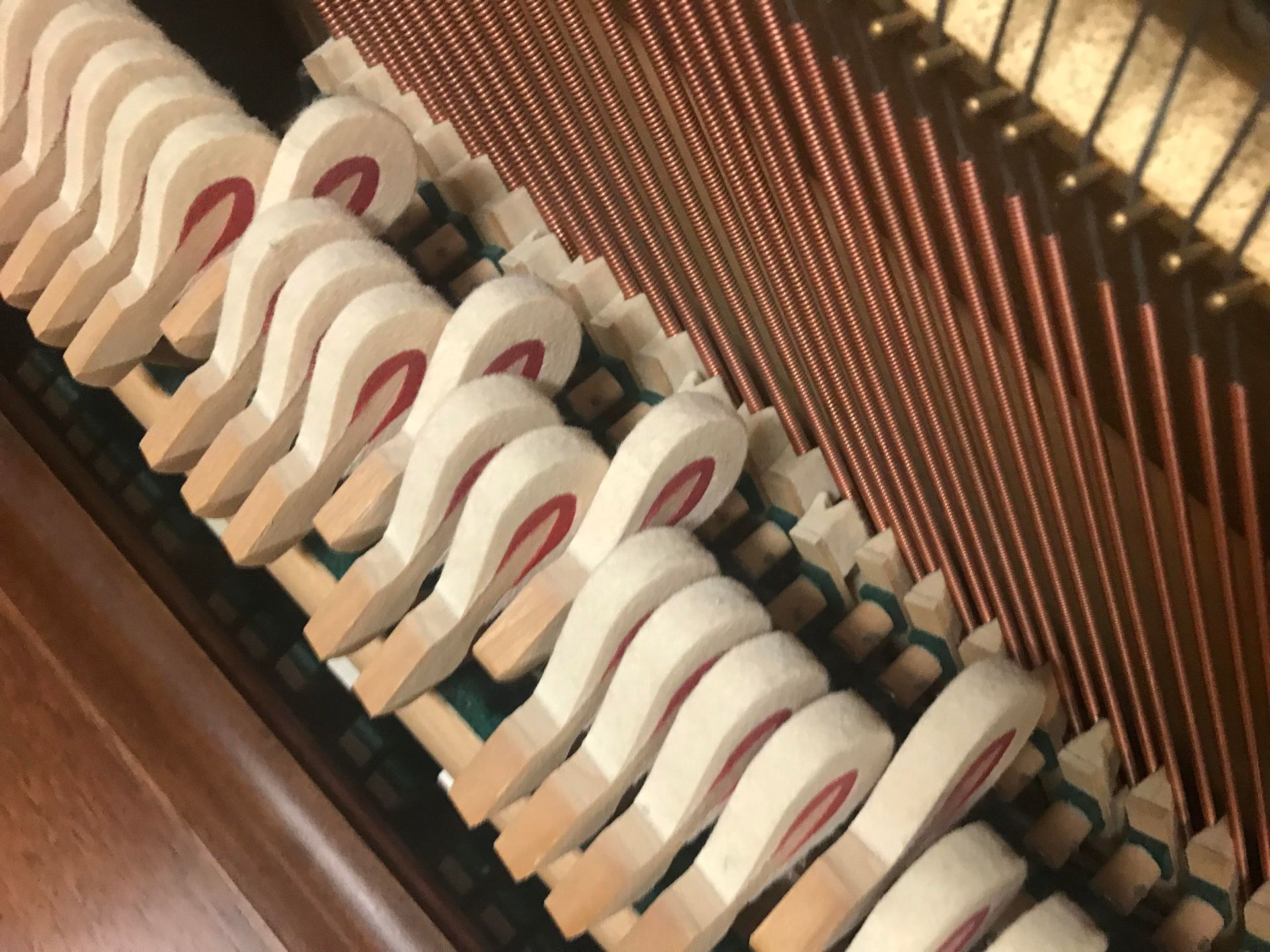 A close up of the inside of a piano showing the hammers