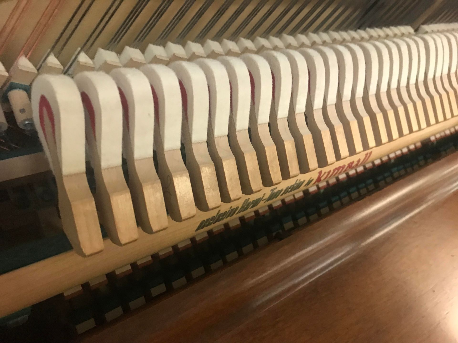 A close up of the inside of a piano showing the hammers