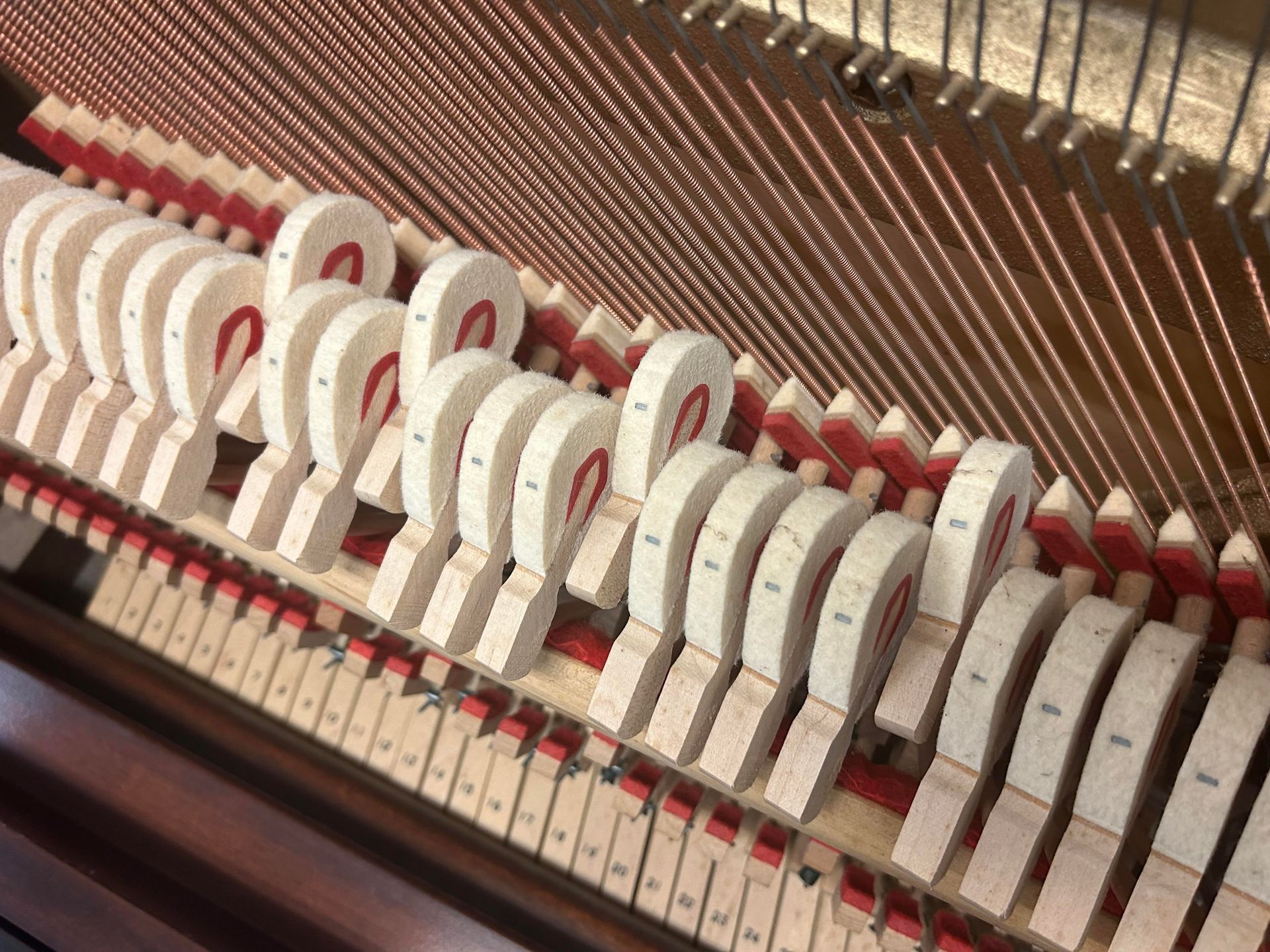 A close up of the inside of a piano showing the keys.