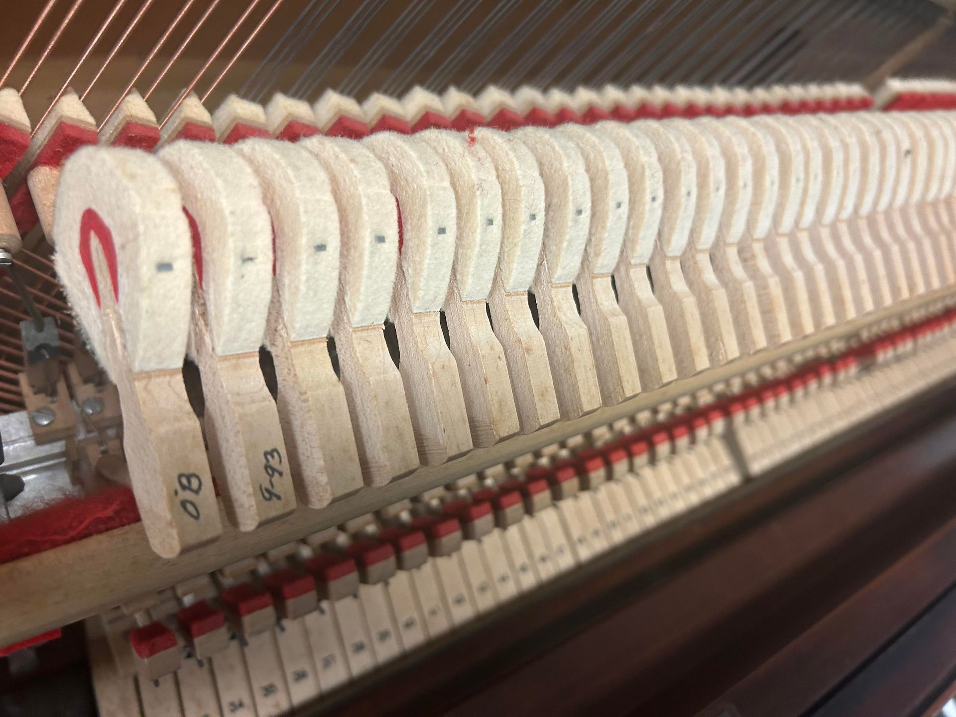 A close up of the inside of a piano showing the keys and hammers.