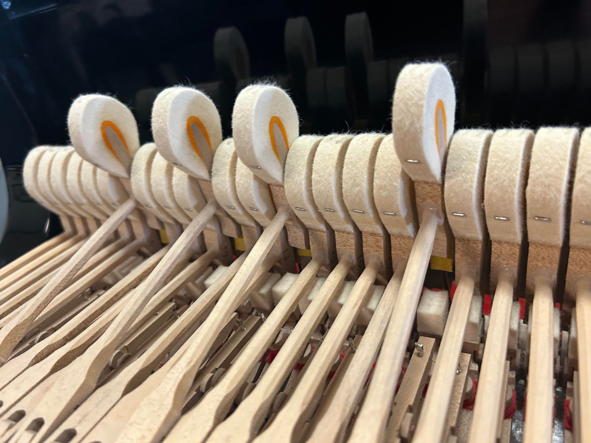 A close up of the inside of a piano.