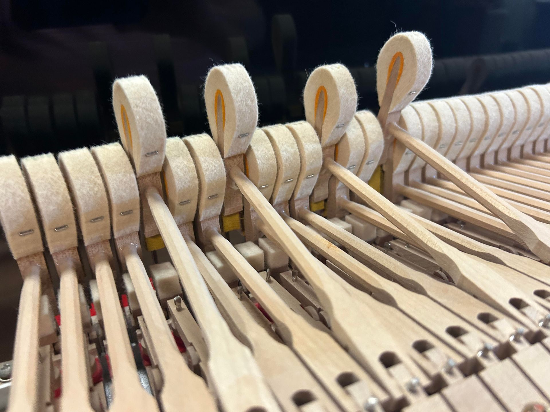 A close up of the inside of a piano with wooden keys.