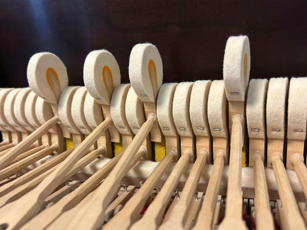 A close up of the inside of a piano showing the keys