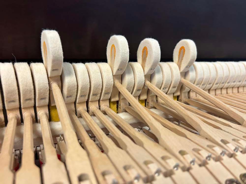 A close up of the inside of a piano with a black background