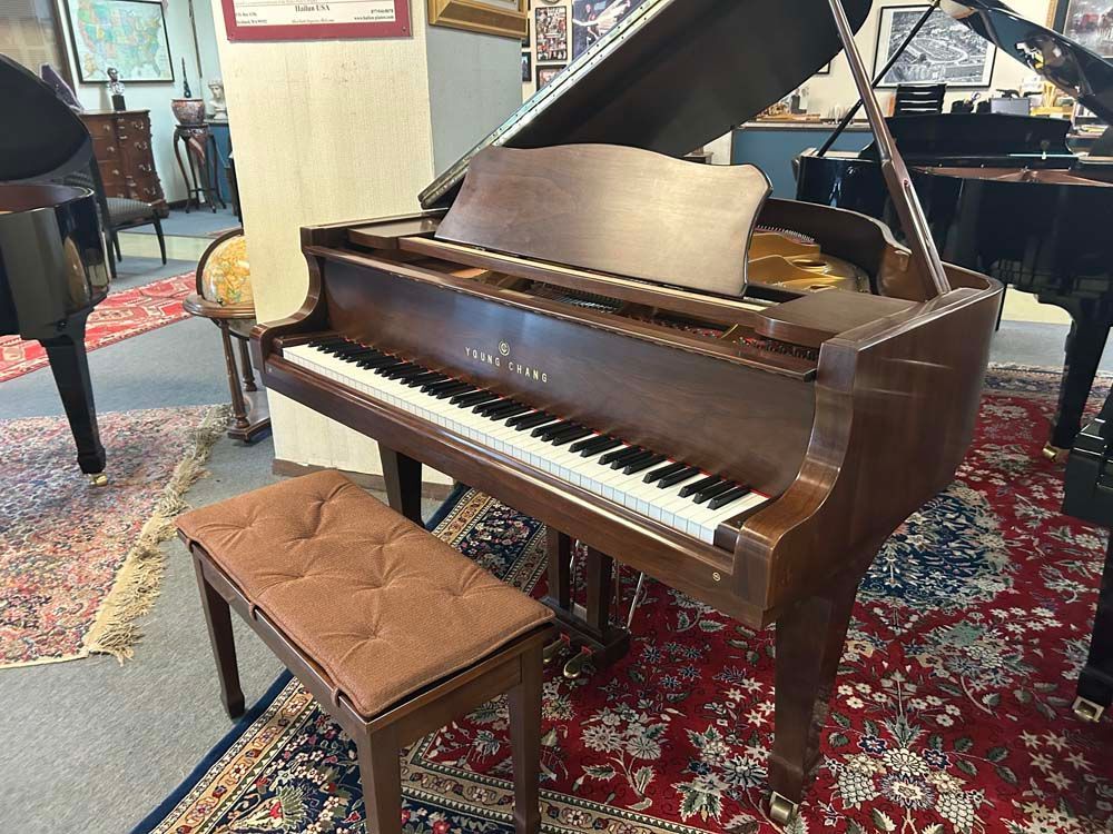 A grand piano is sitting on a rug in a room.