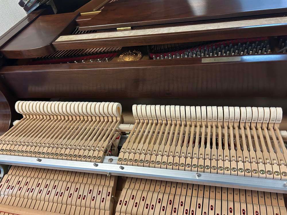 A close up of the inside of a piano showing the keys and hammers.