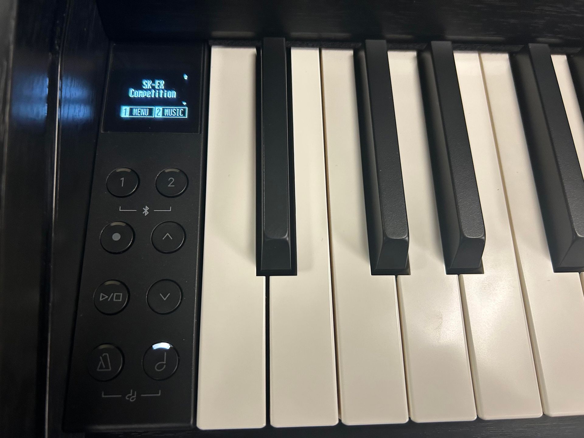 Black and white piano keys