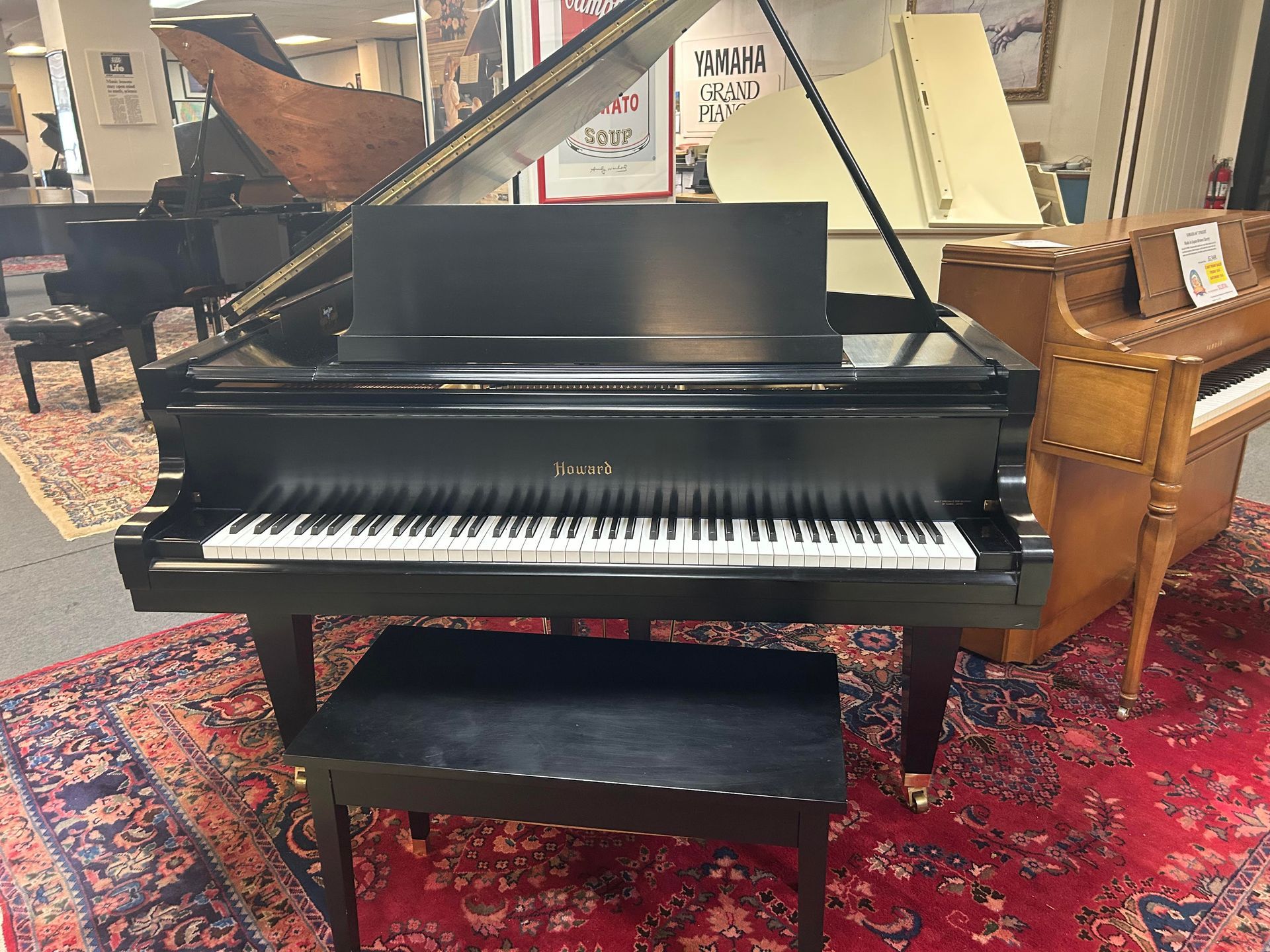 A black grand piano with a matching bench sits on a red rug, surrounded by other pianos in a showroom.