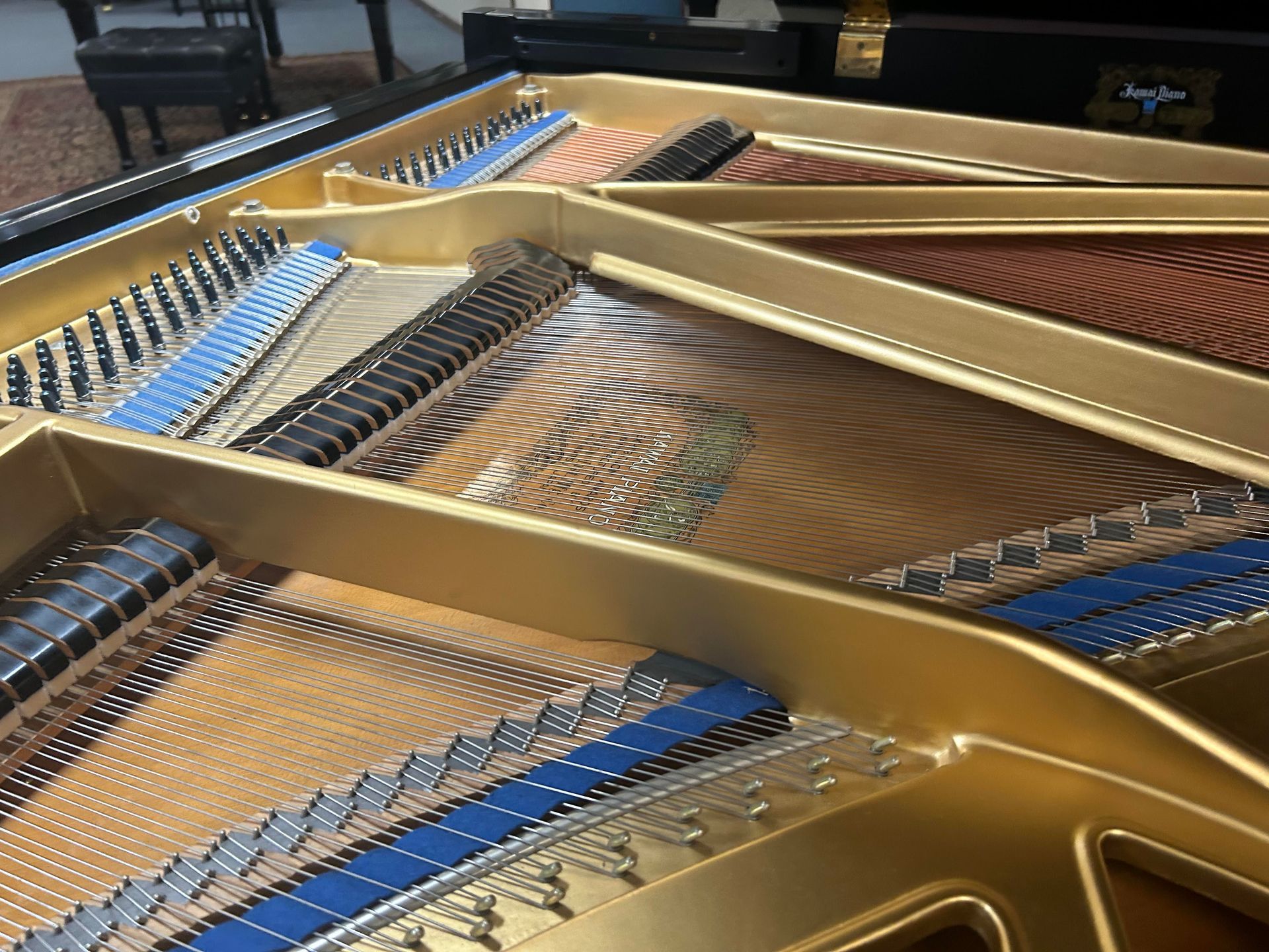 Inside of a grand piano showing strings, tuning pegs, and soundboard, with golden framing and blue accents.