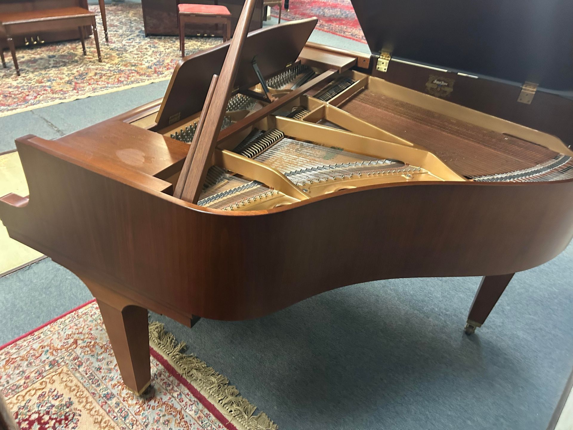 A grand piano is sitting on a rug in a room.