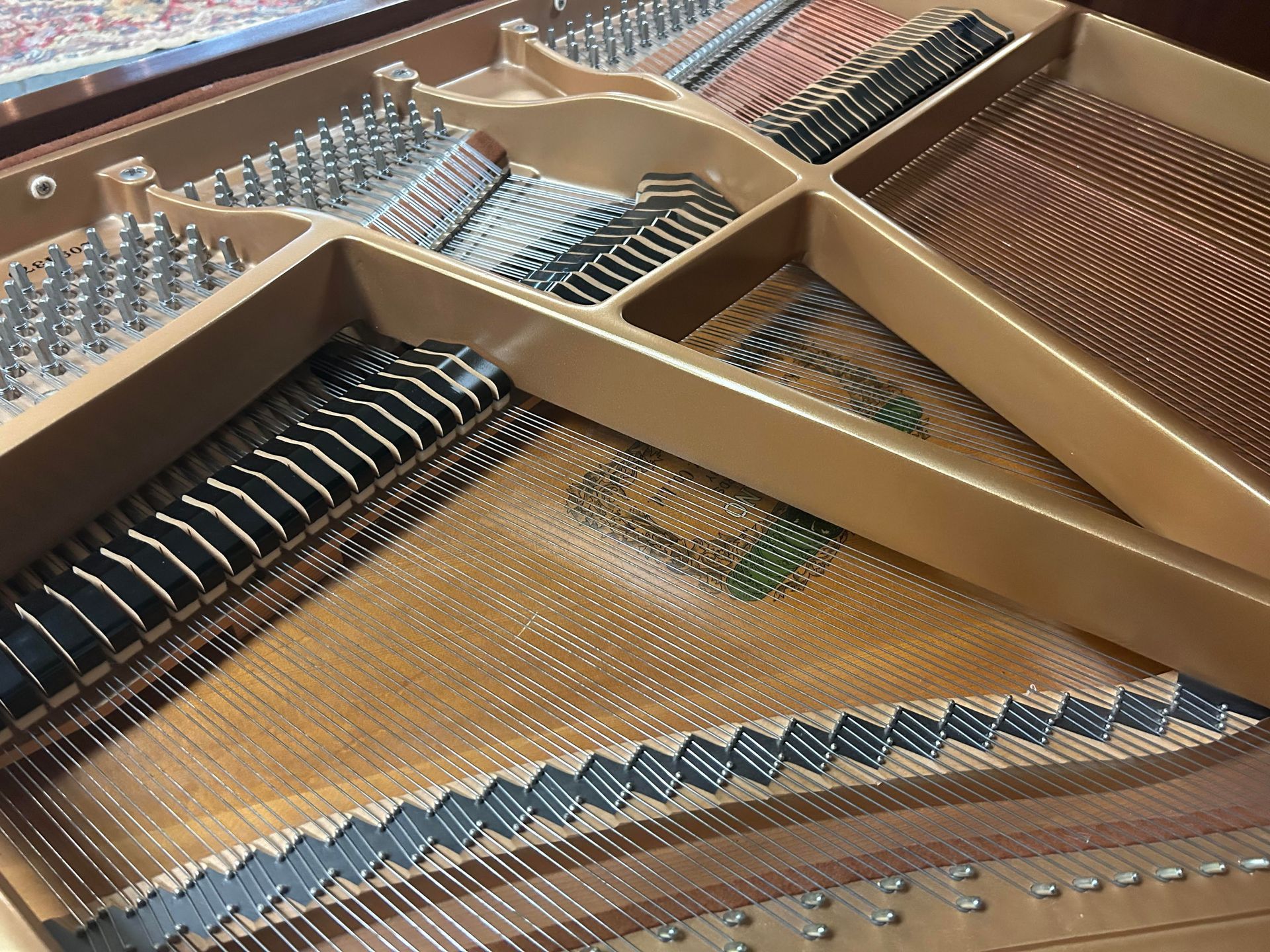 A close up of the inside of a grand piano