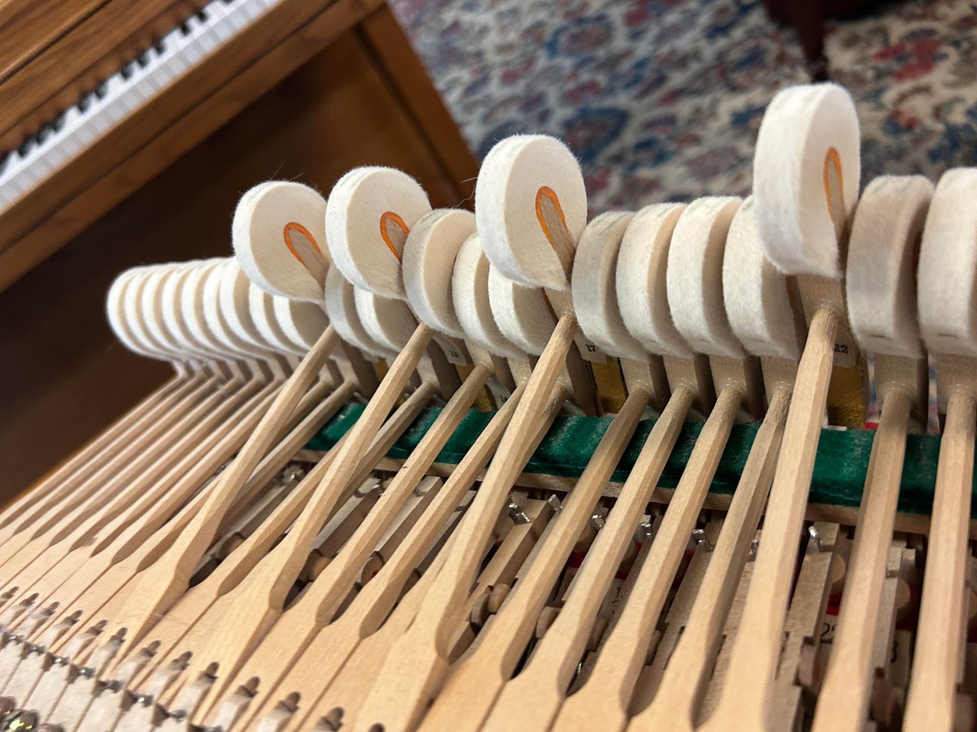 A close up of the inside of a piano showing the keys