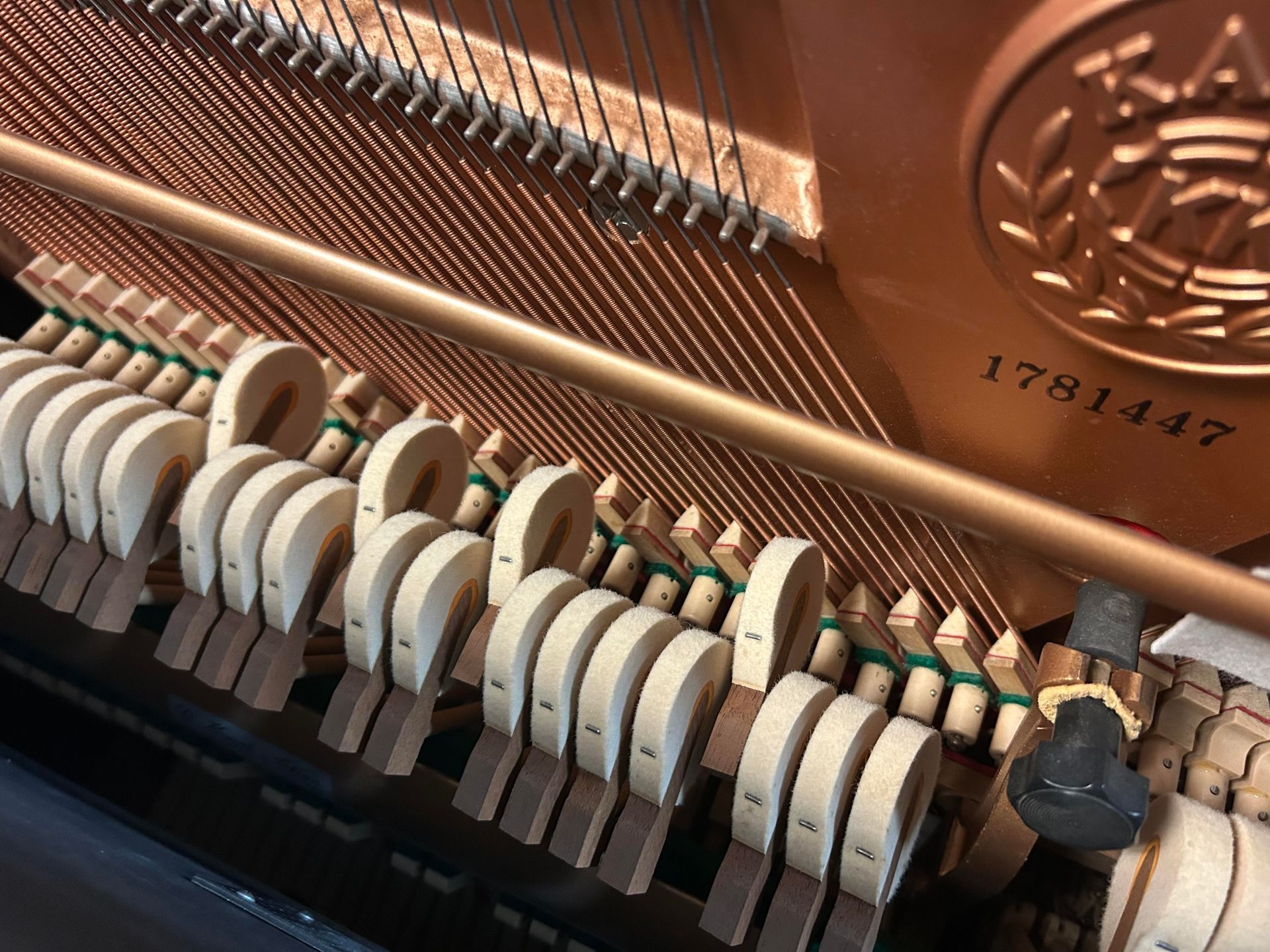 Close-up of the piano's inner workings, showing hammers, strings, soundboard, and identification number.